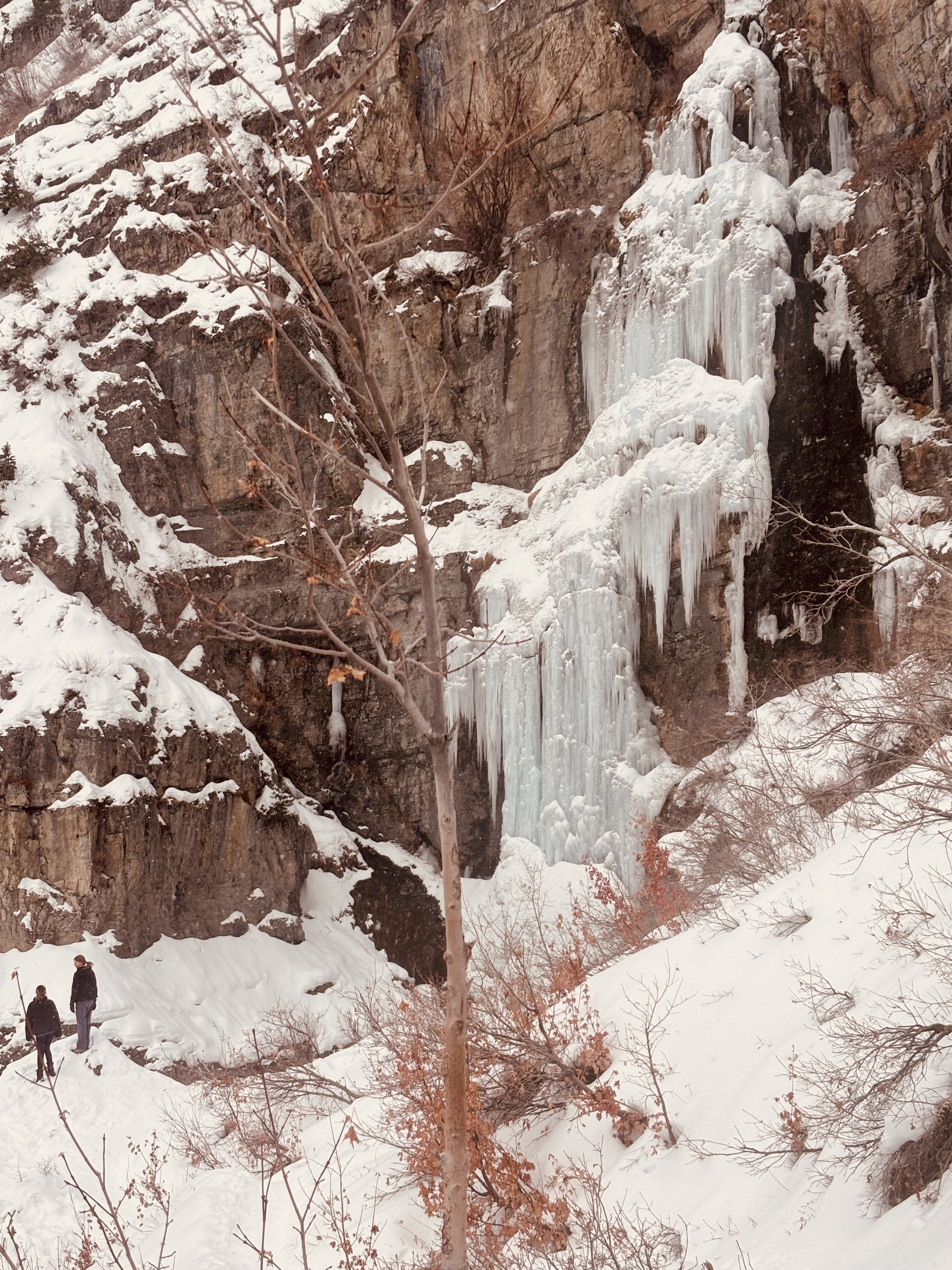 Stewart Falls