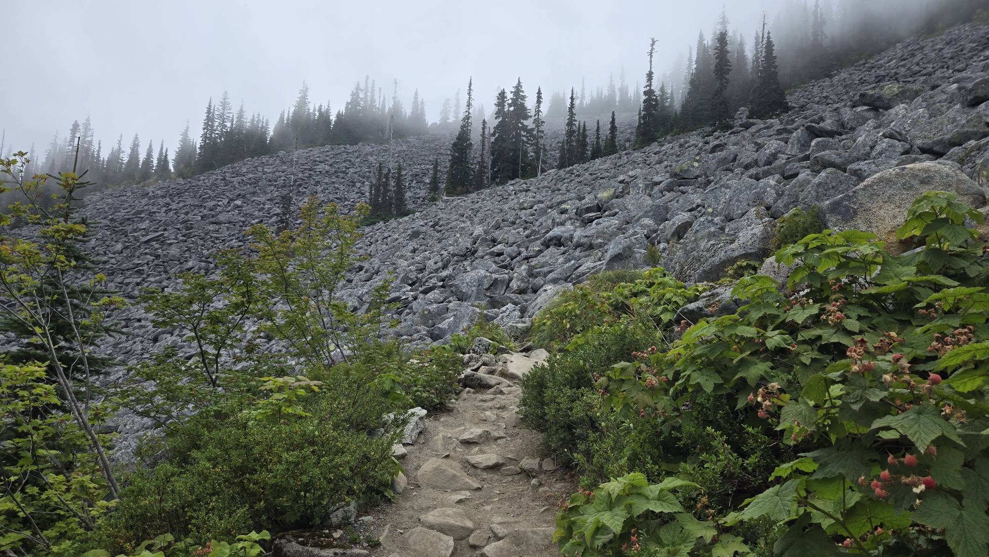 Bandera Mountain