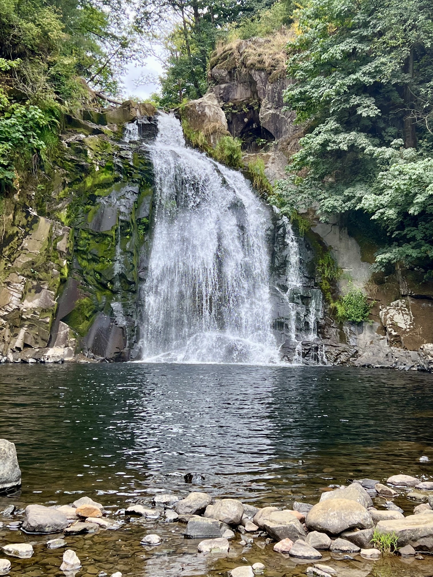 Youngs River Falls
