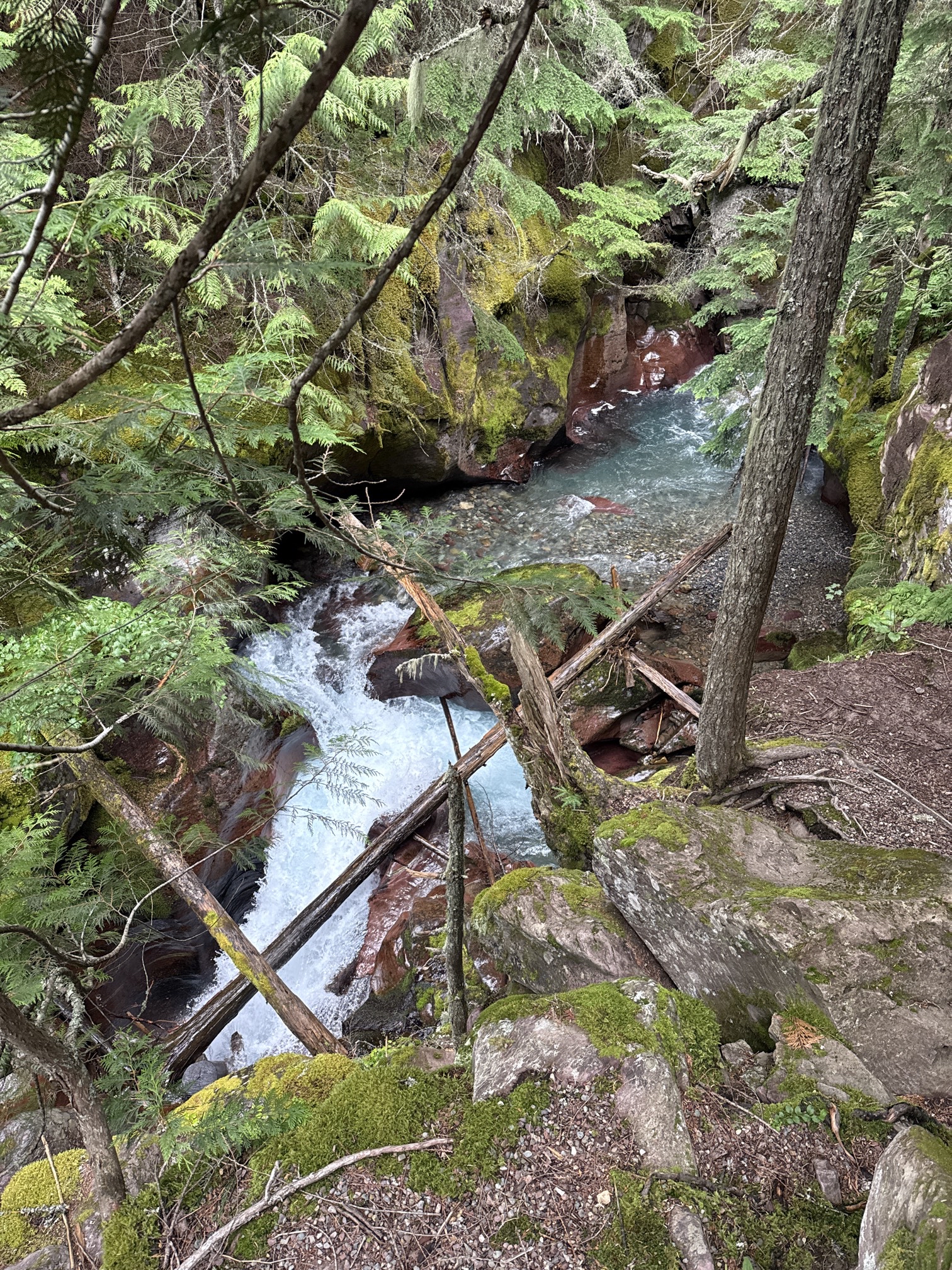 Avalanche Lake via Trail of Cedars