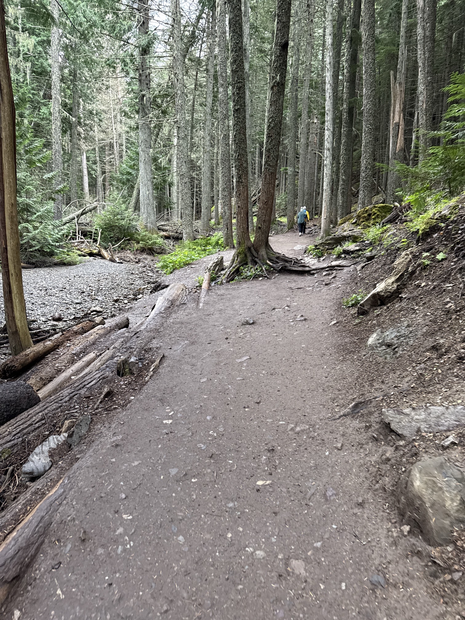 Avalanche Lake via Trail of Cedars