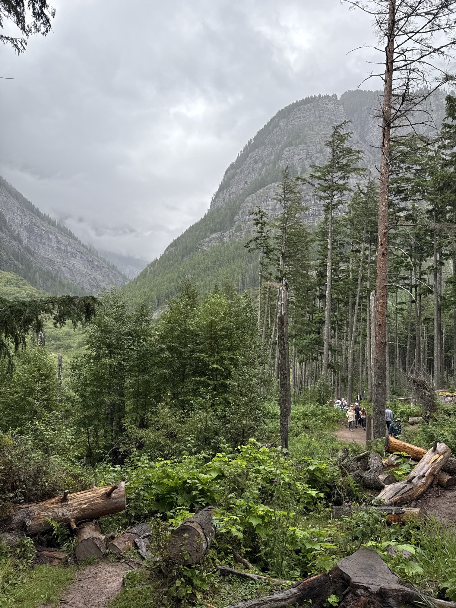 Avalanche Lake via Trail of Cedars