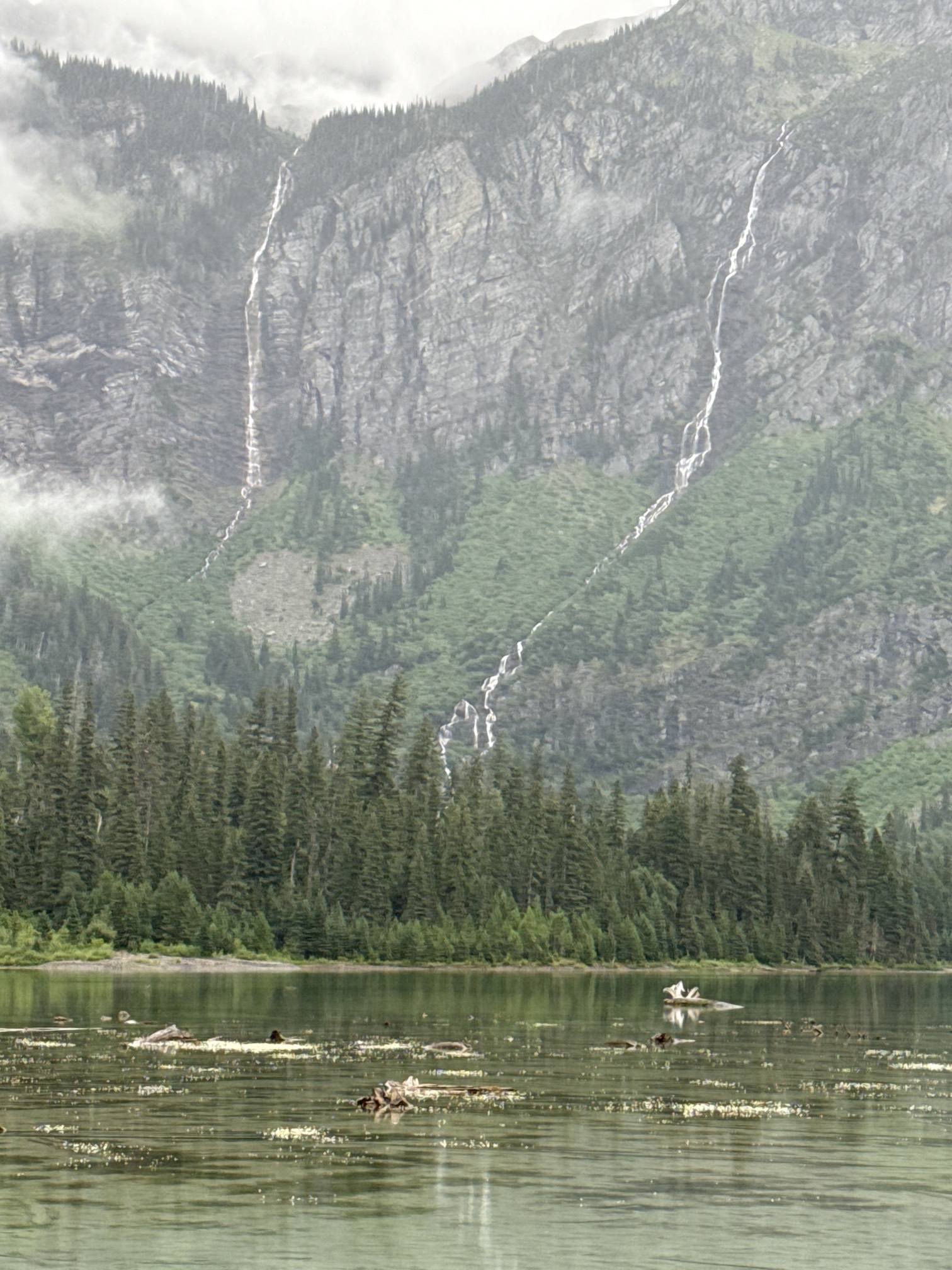 Avalanche Lake via Trail of Cedars