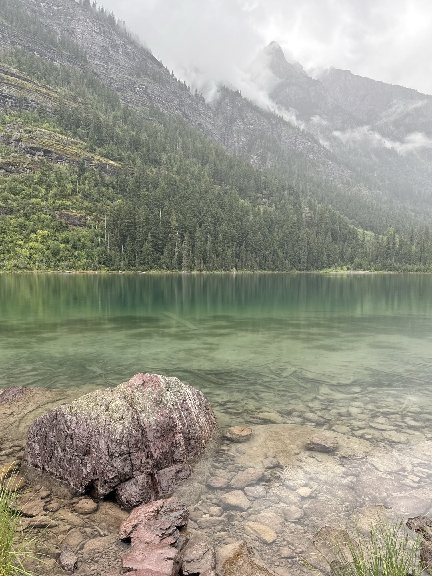 Avalanche Lake via Trail of Cedars