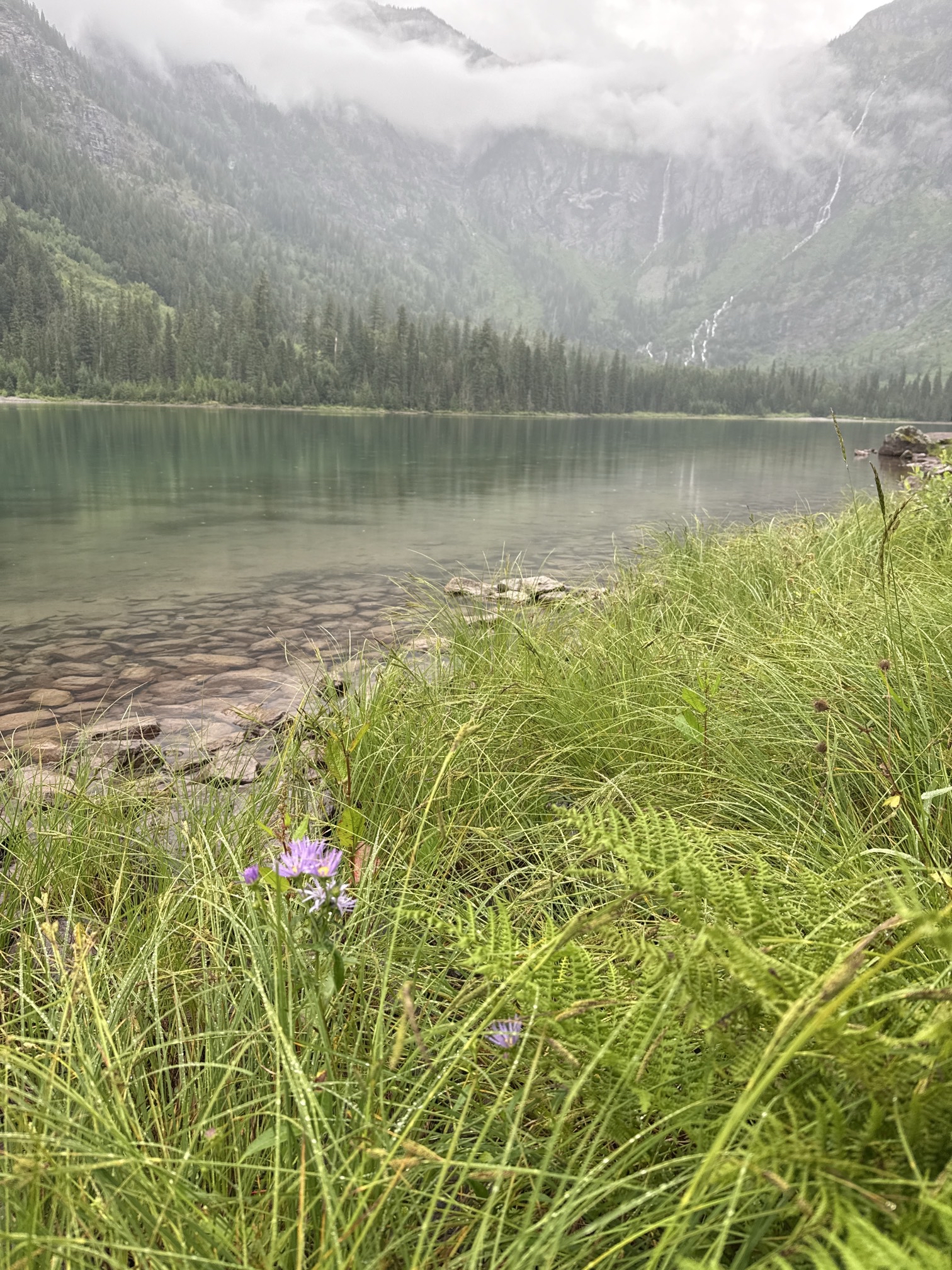 Avalanche Lake via Trail of Cedars