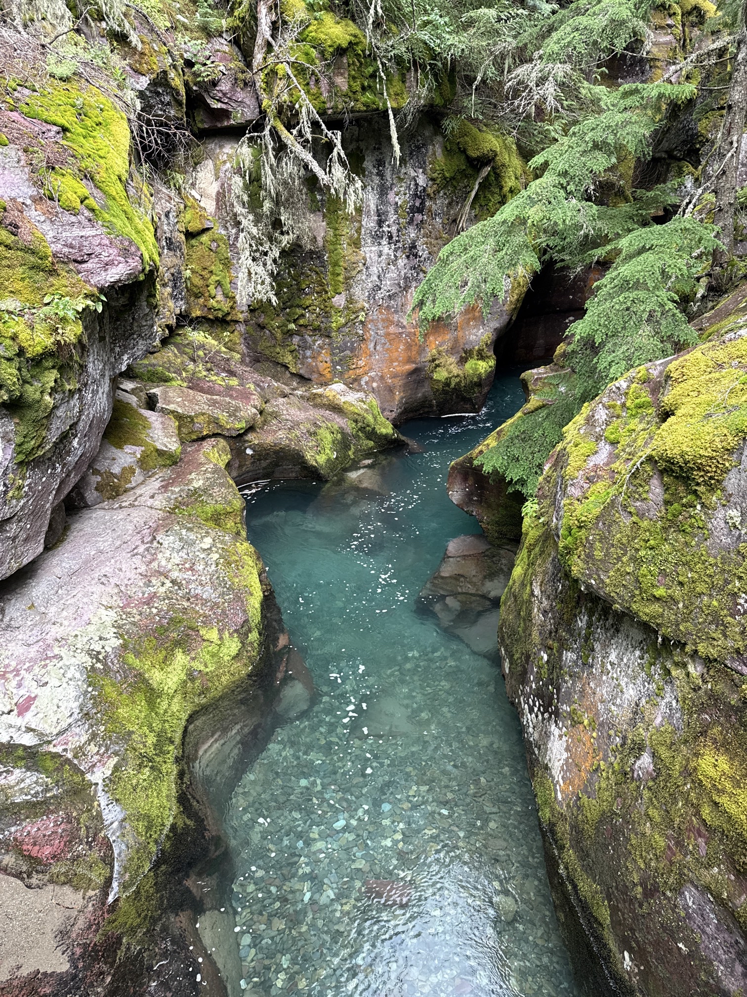 Avalanche Lake via Trail of Cedars