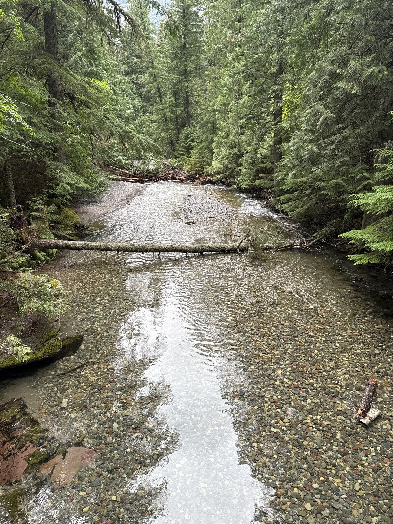 Avalanche Lake via Trail of Cedars