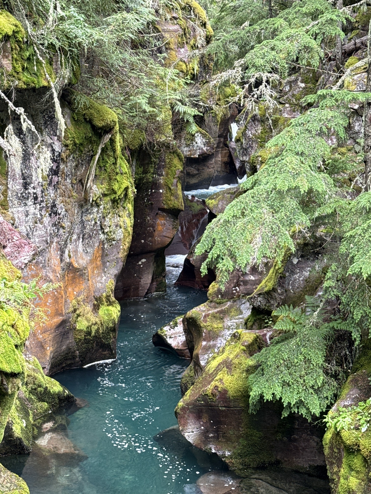 Avalanche Lake via Trail of Cedars