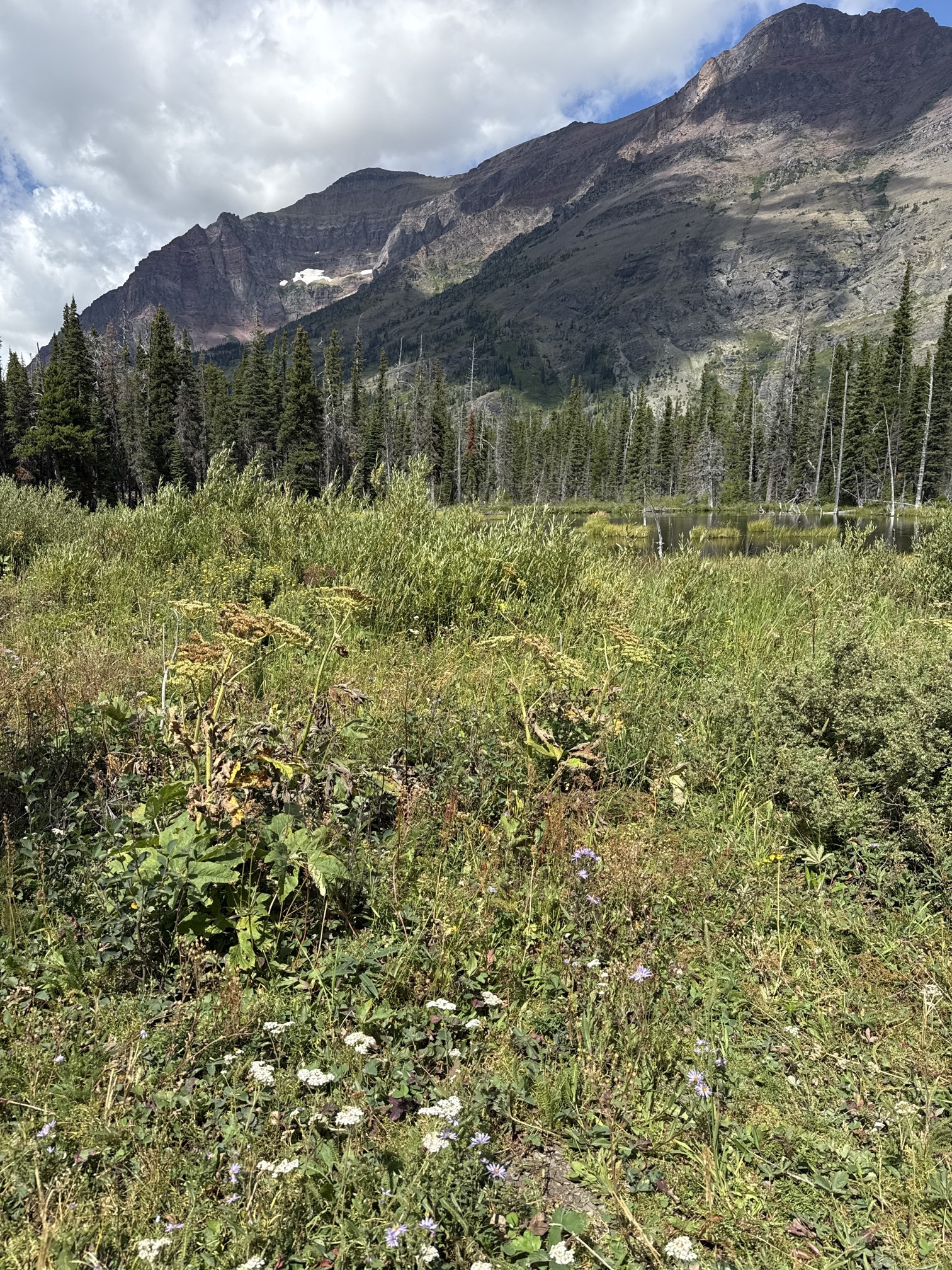 Rockwell Falls Trail