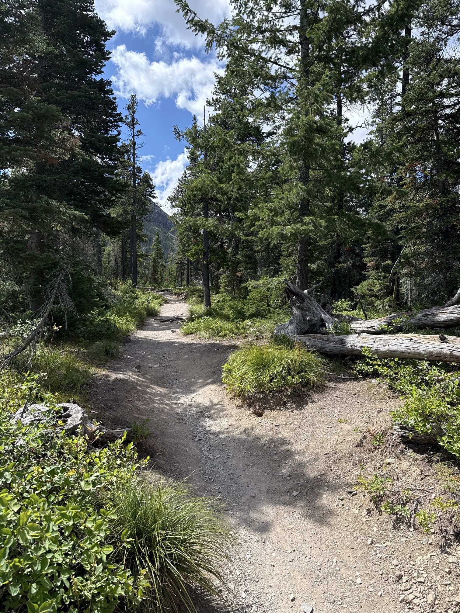 Rockwell Falls Trail