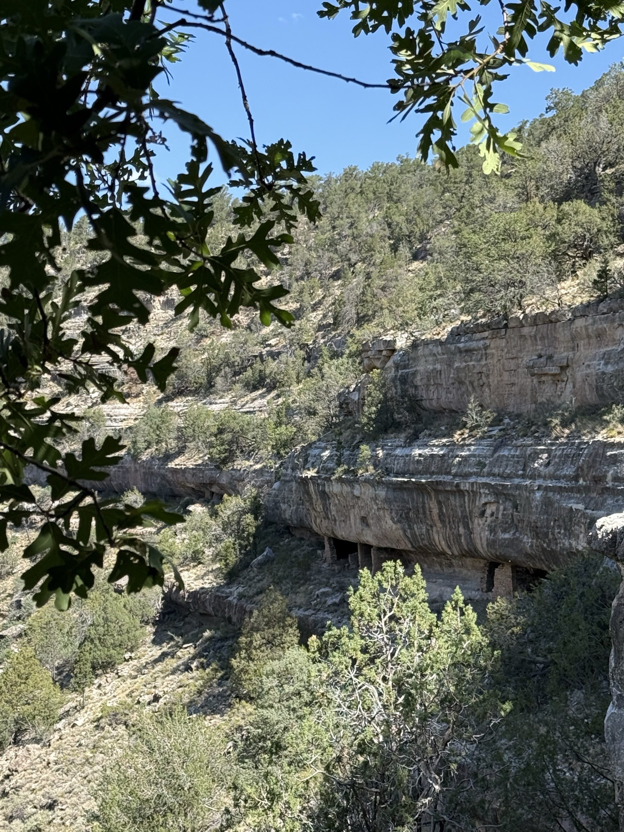 Hike the Island Trail, Walnut Canyon