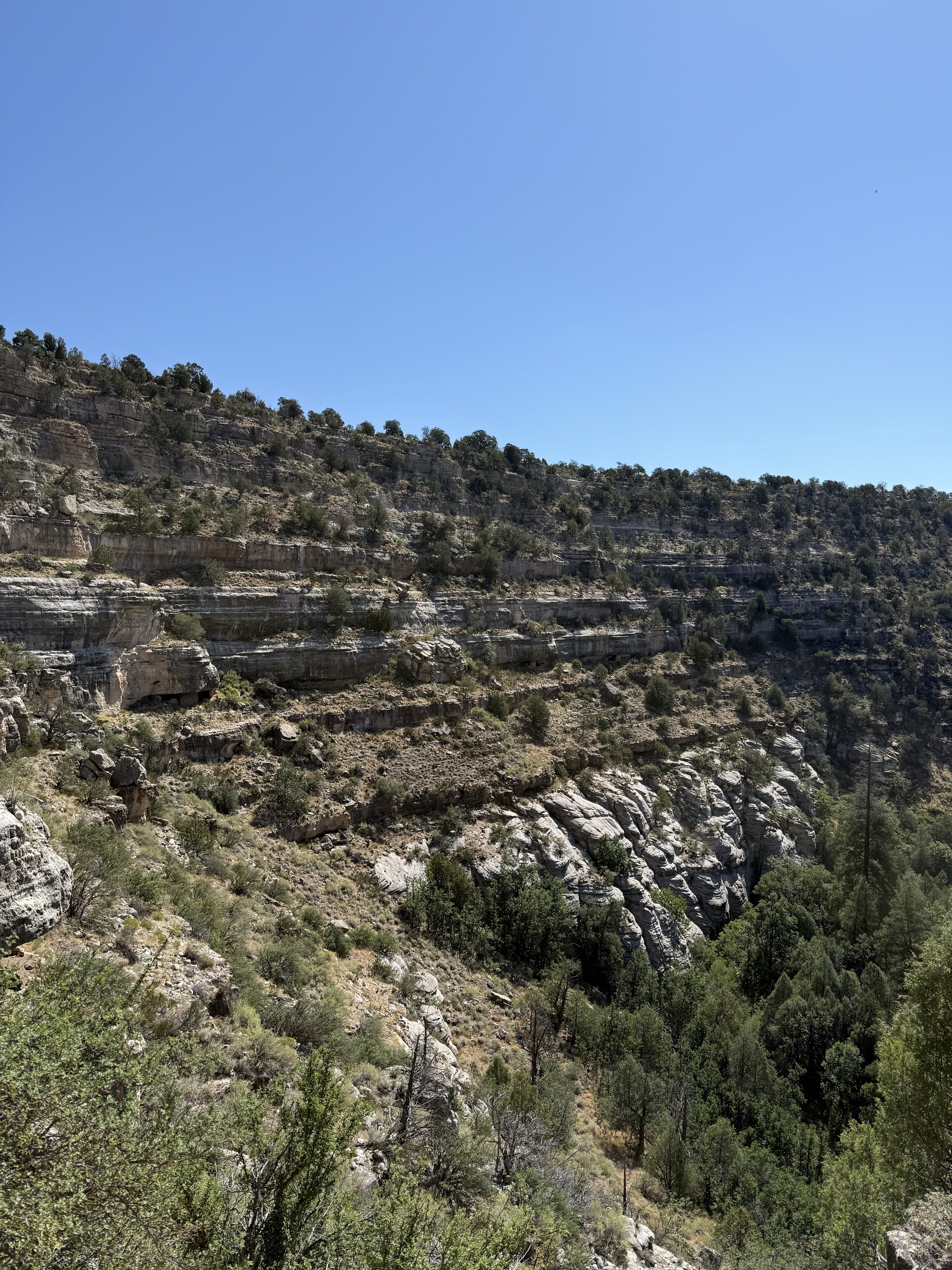 Hike the Island Trail, Walnut Canyon