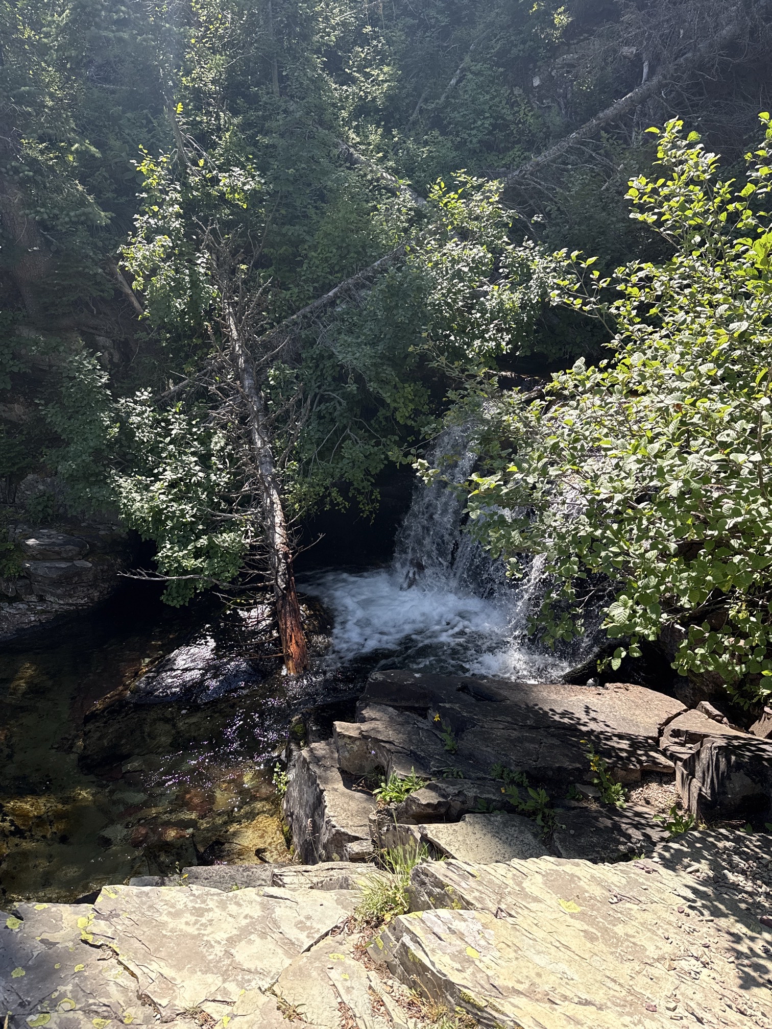 Rockwell Falls Trail