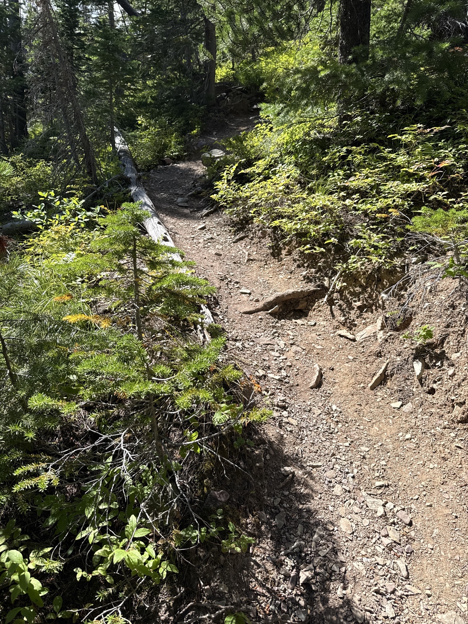 Rockwell Falls Trail