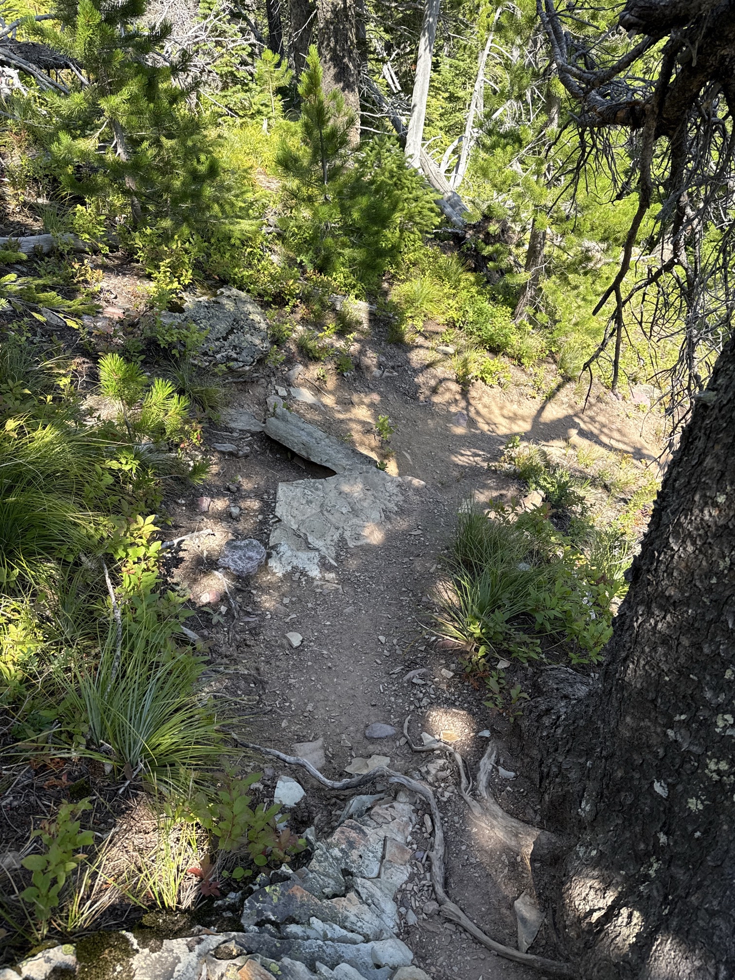 Rockwell Falls Trail