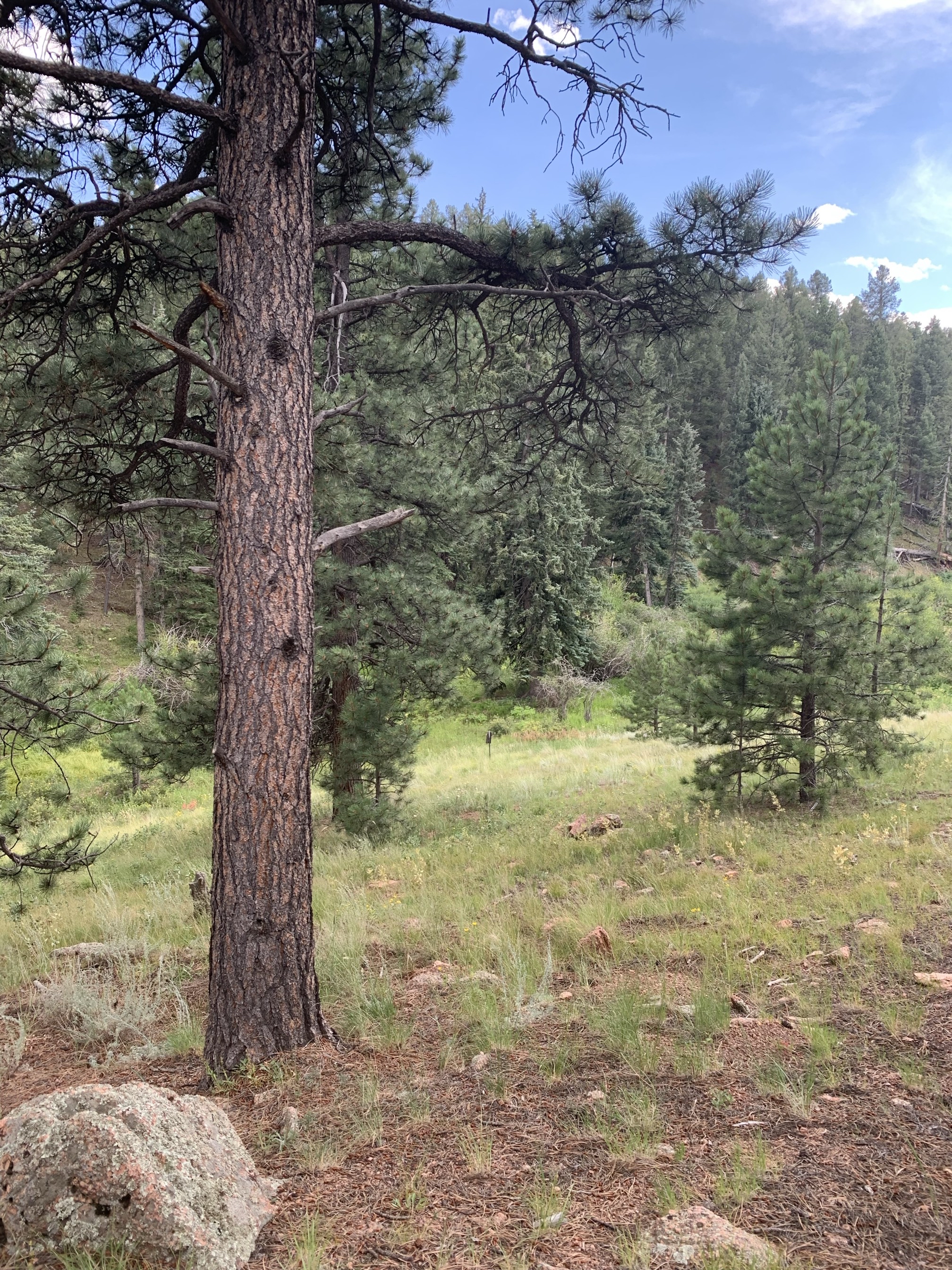 Lowell Gulch Upper and Lower Ridge Trail