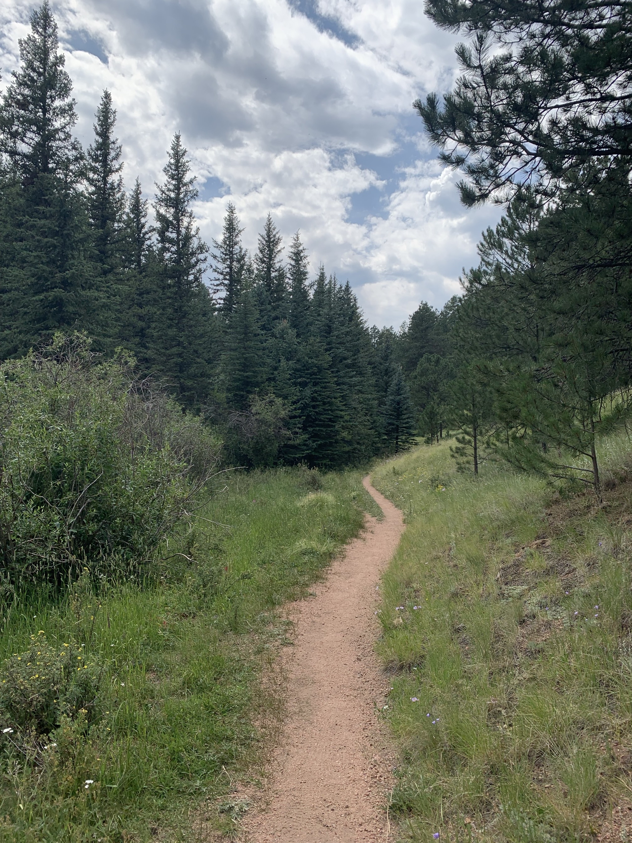 Lowell Gulch Upper and Lower Ridge Trail