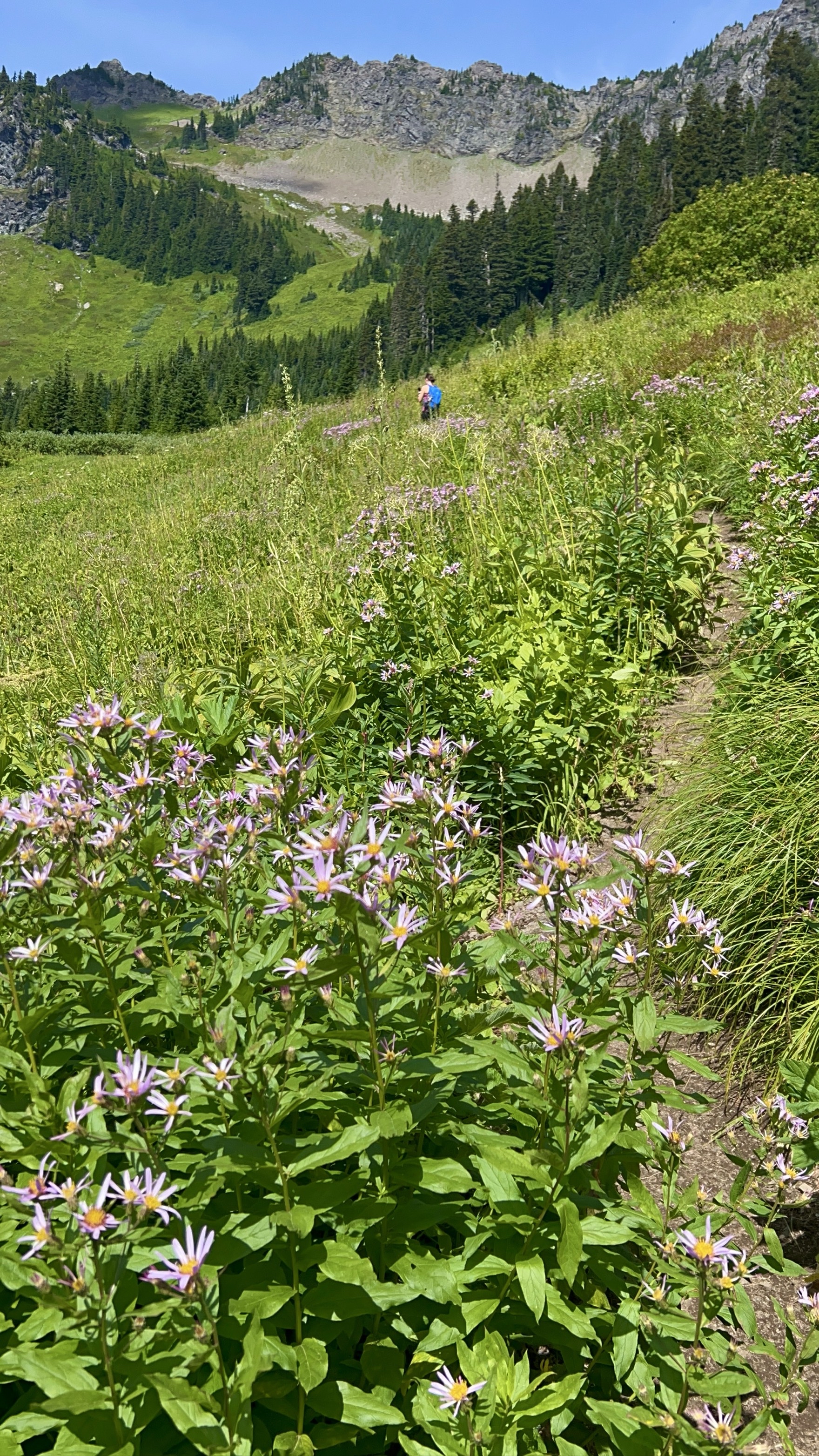 Summit Church Mountain