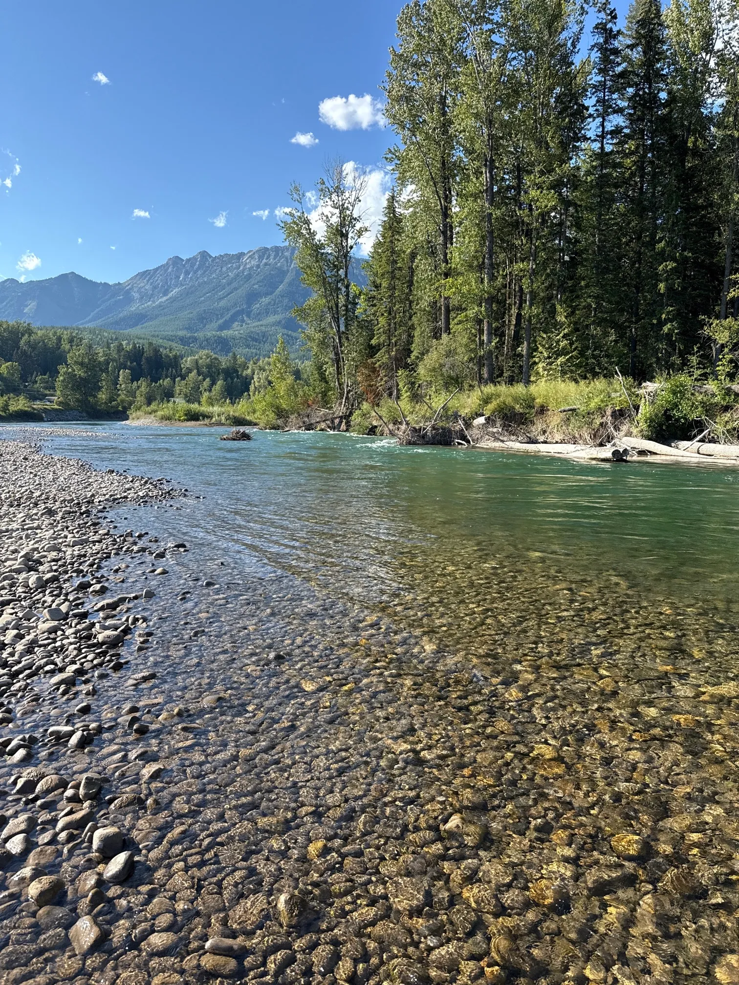 Elk River: Fernie to Cokato