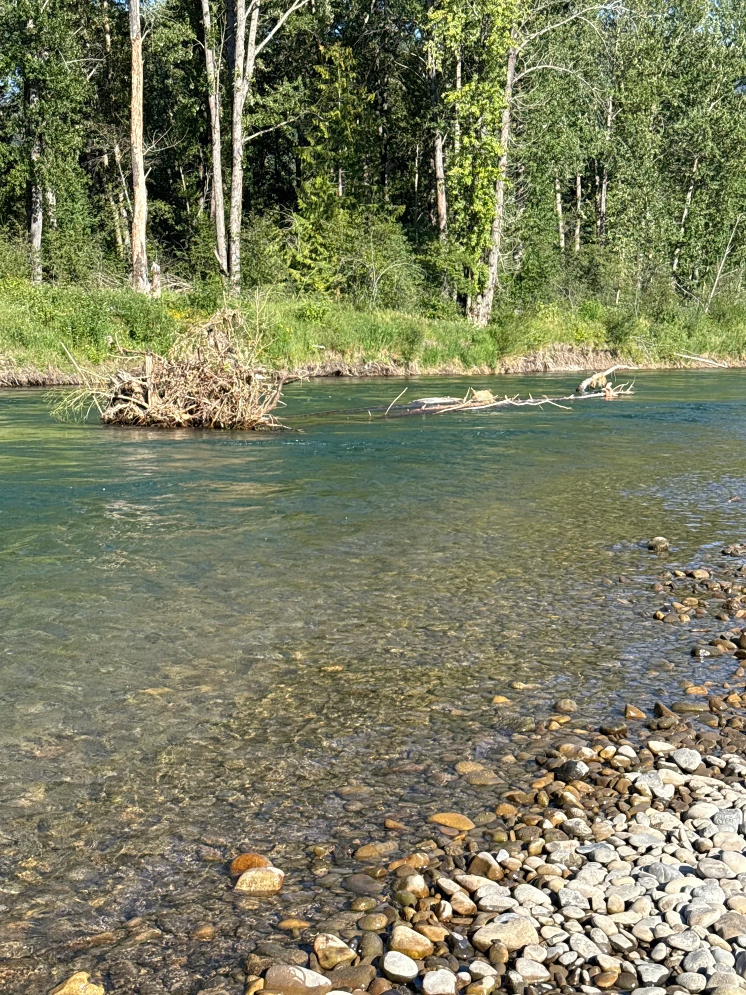 Elk River: Fernie to Cokato