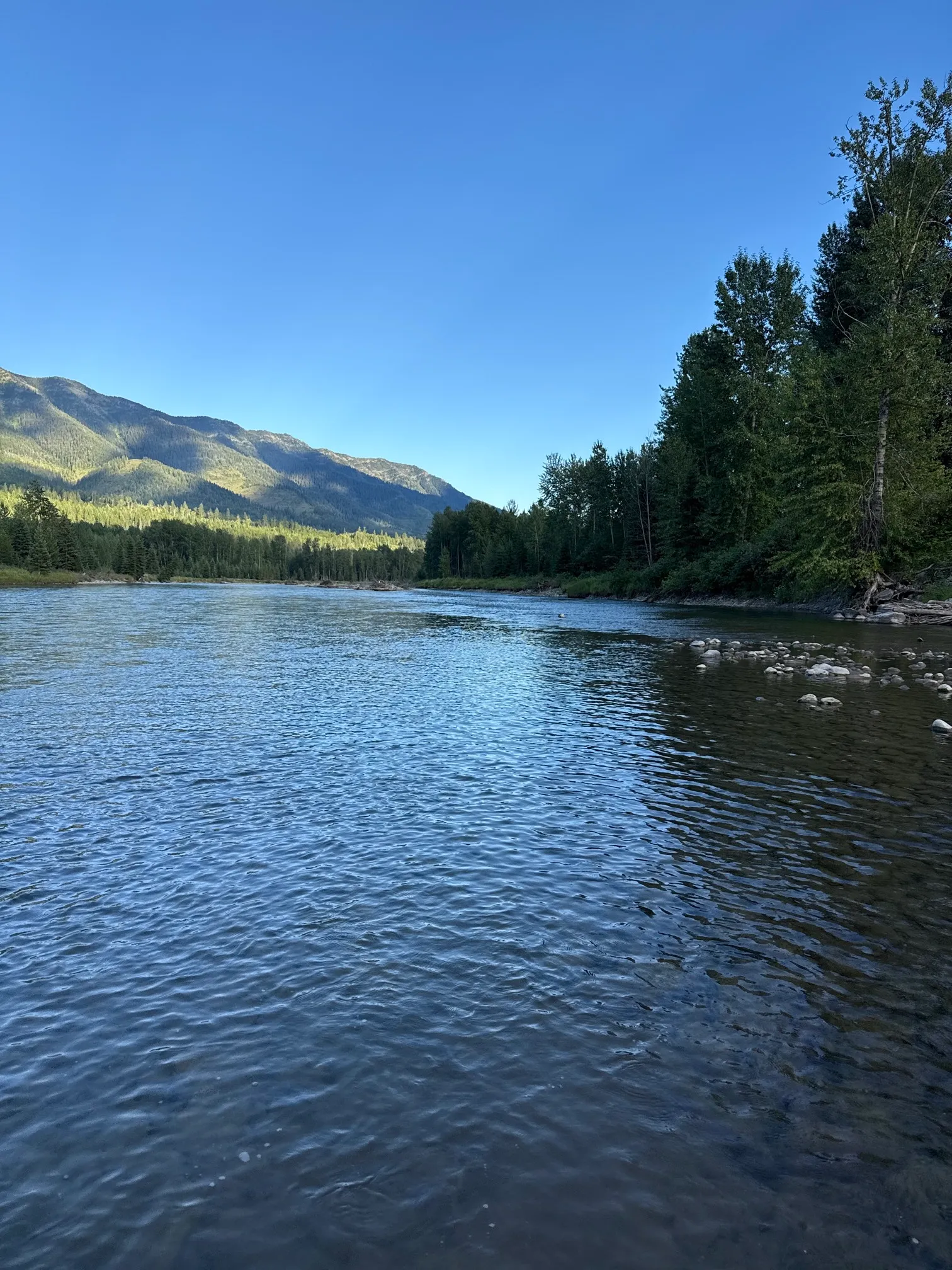 Elk River: Fernie to Cokato