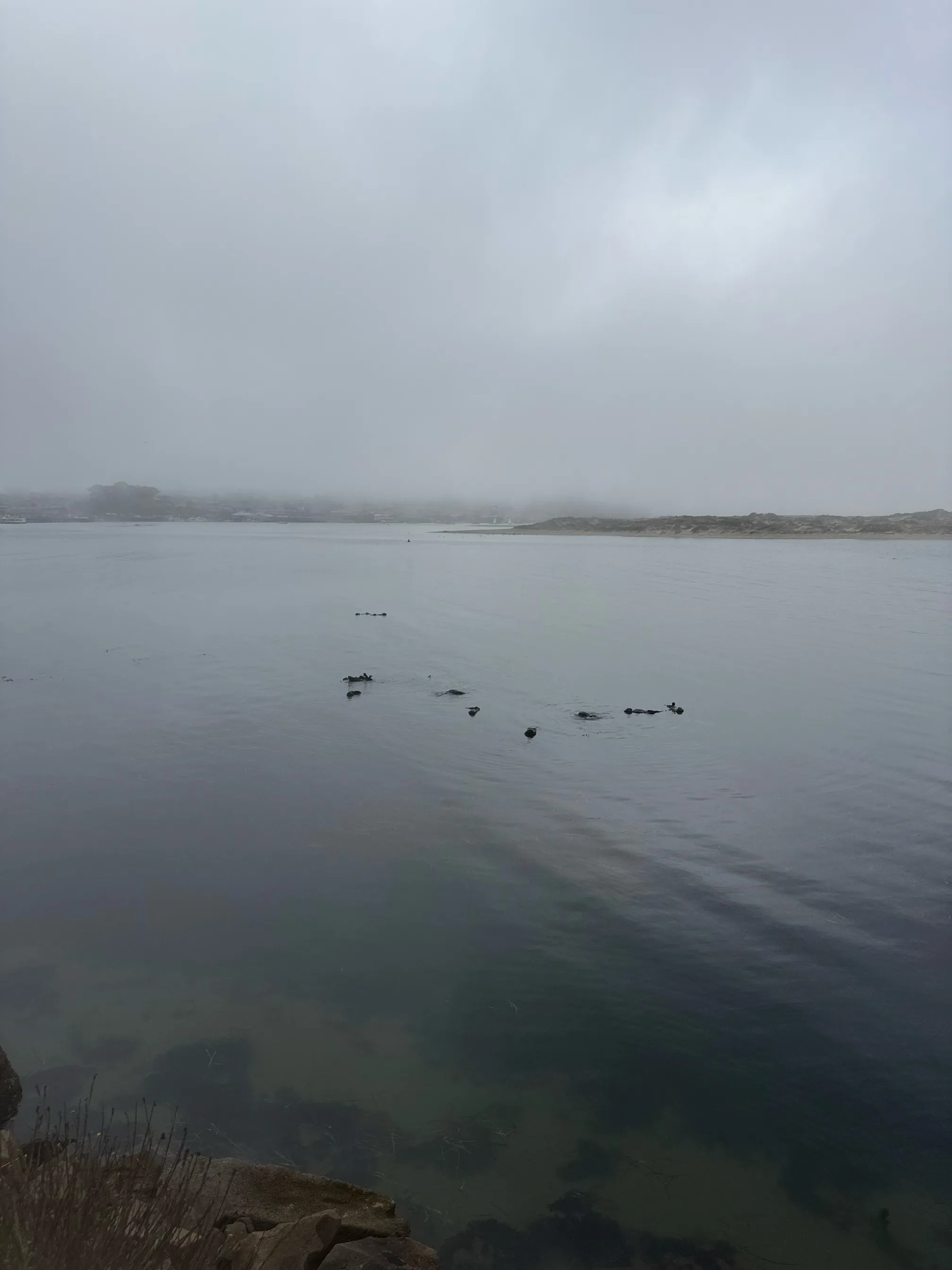 Photograph the Rock at Morro Bay