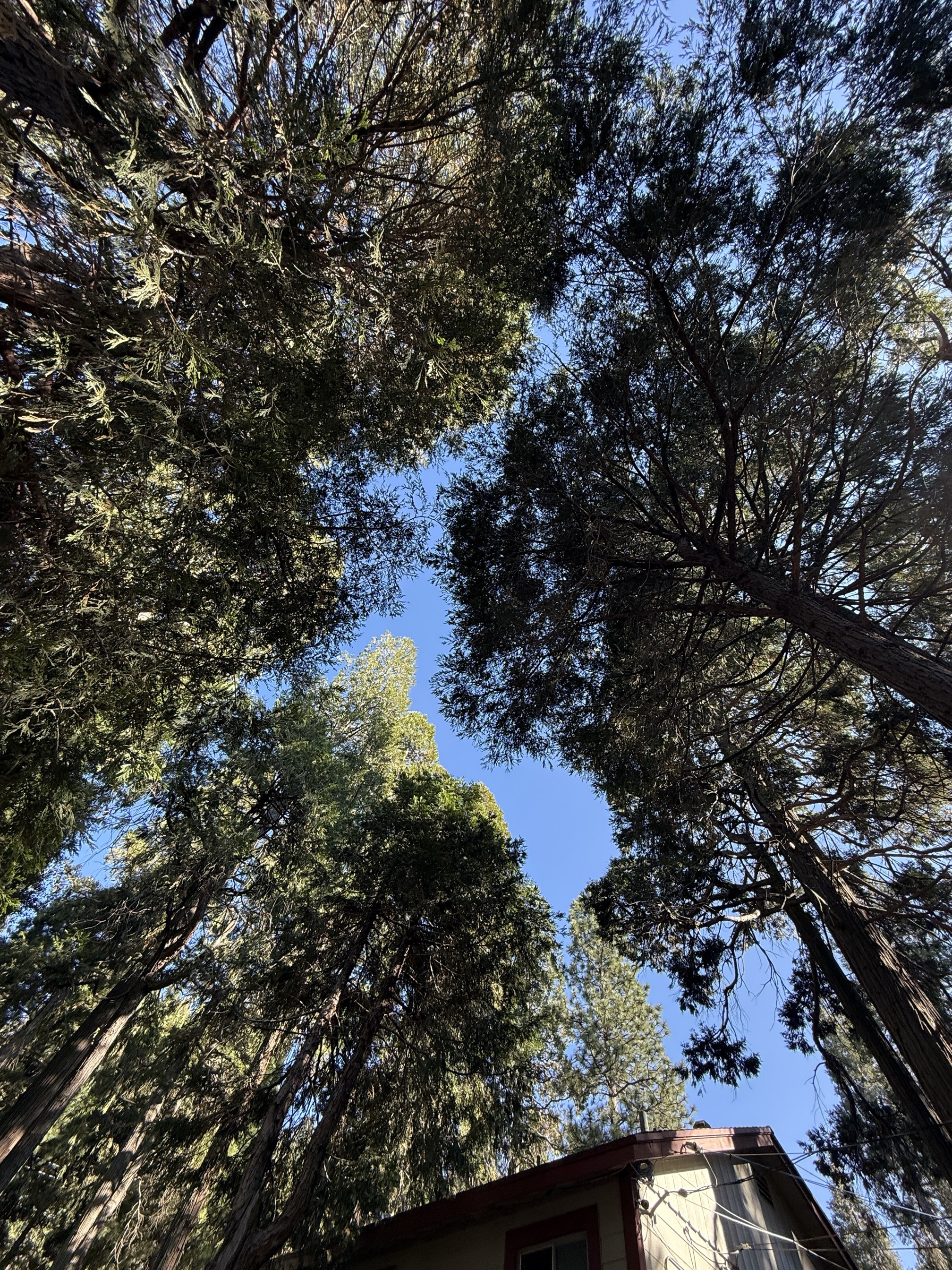 Lake Gregory Trail