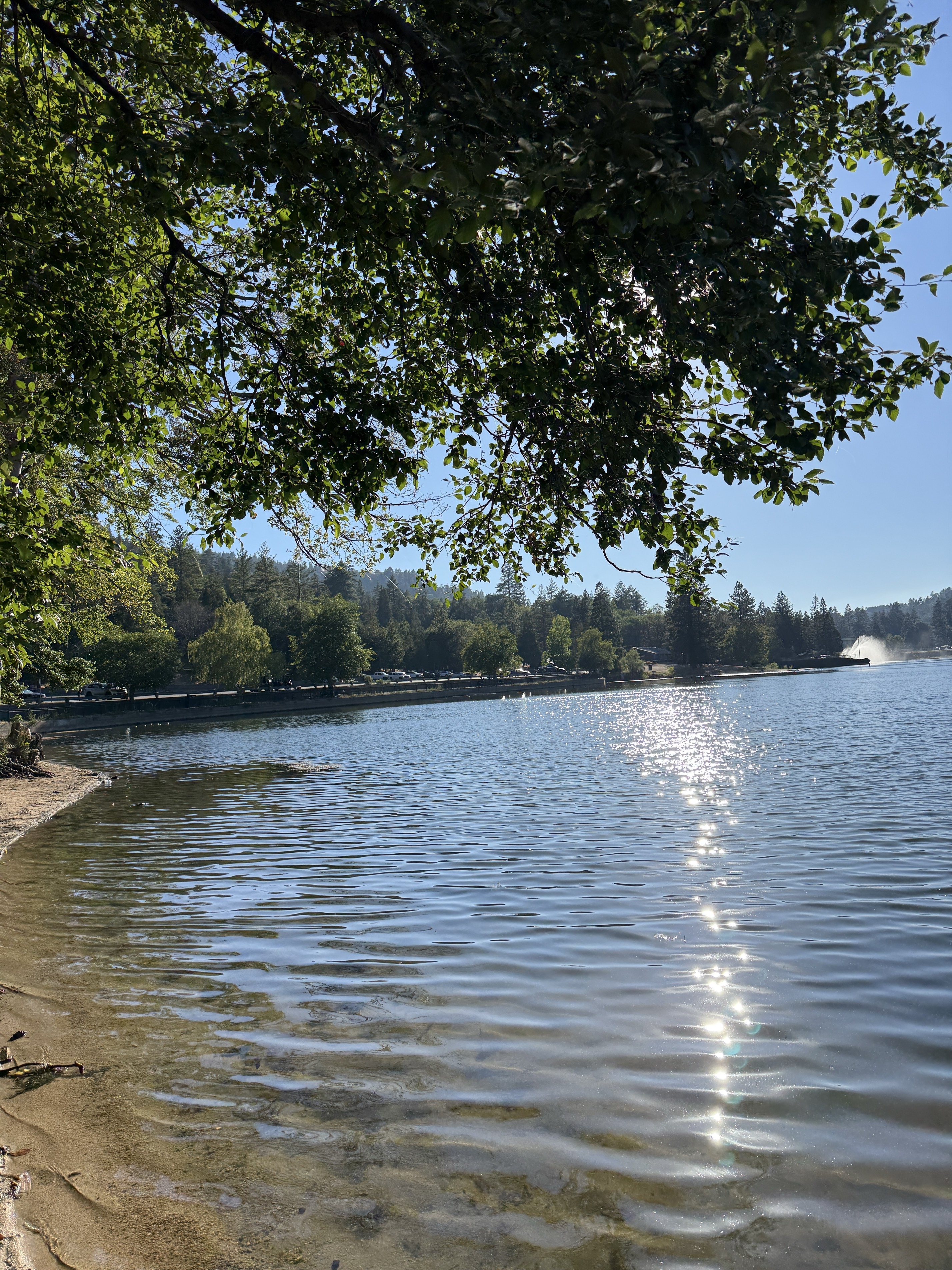 Lake Gregory Trail