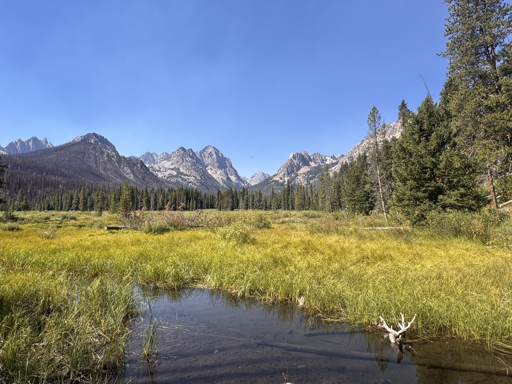 Fishhook Creek Trail