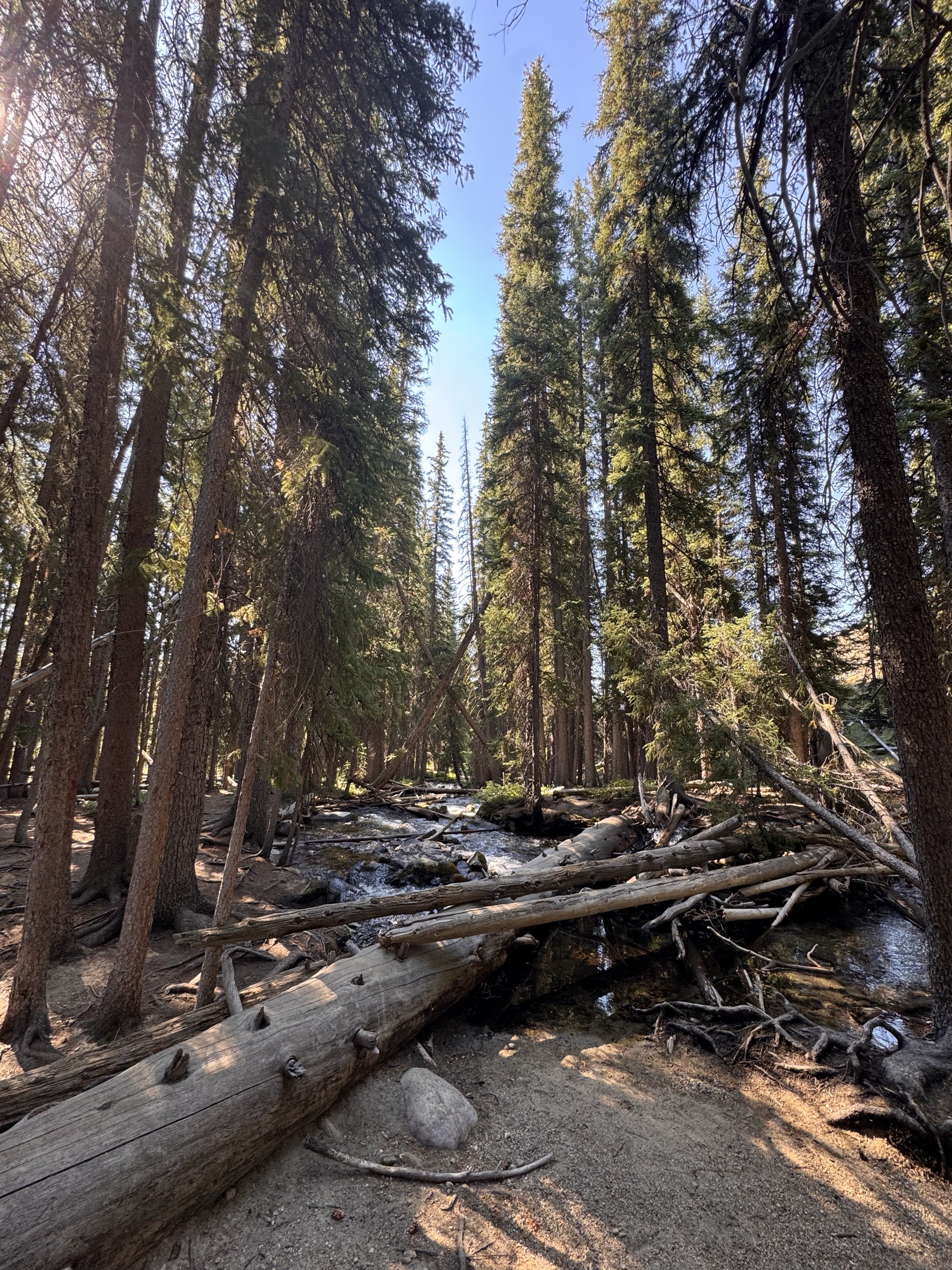 Fishhook Creek Trail