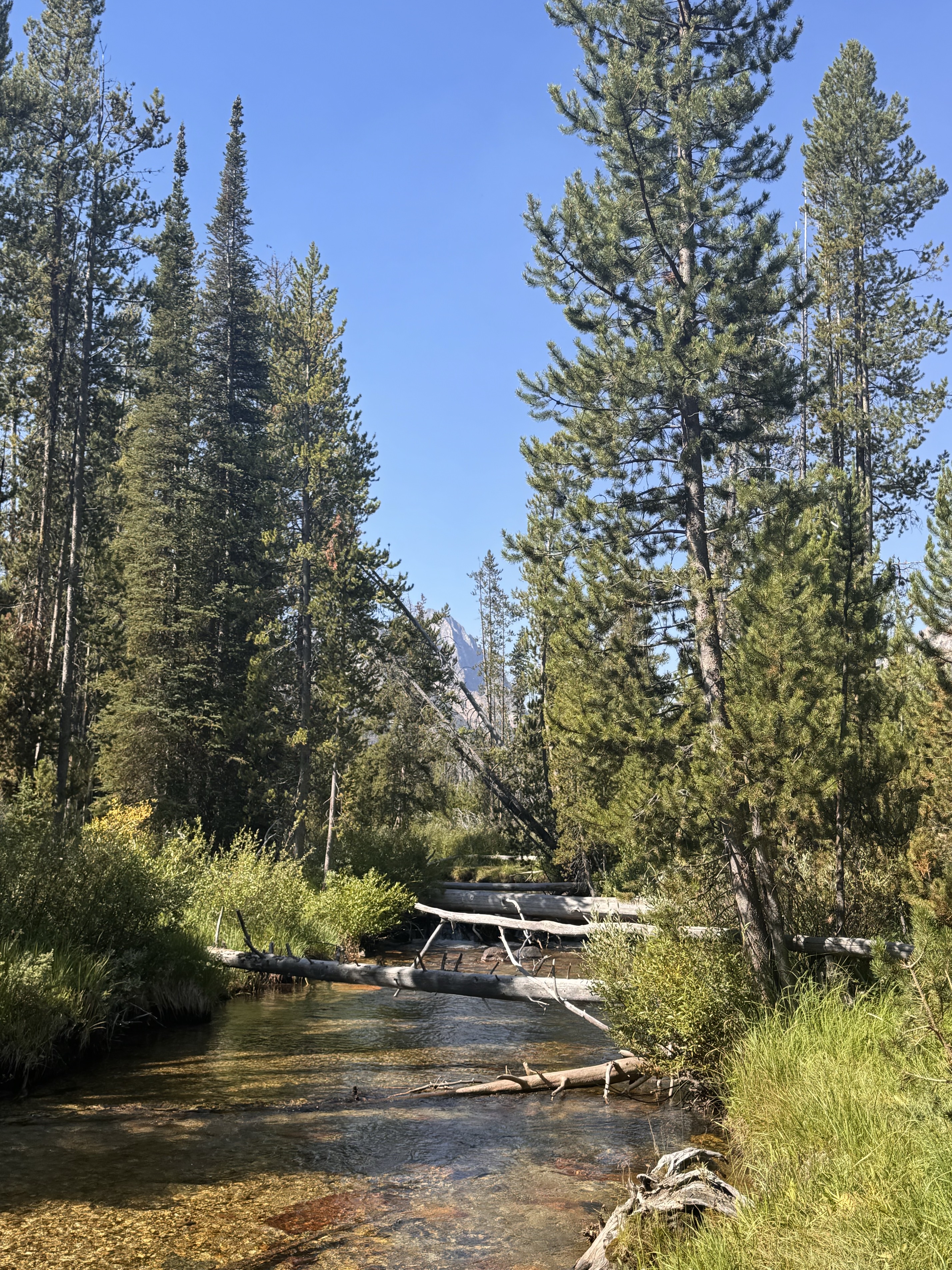 Fishhook Creek Trail