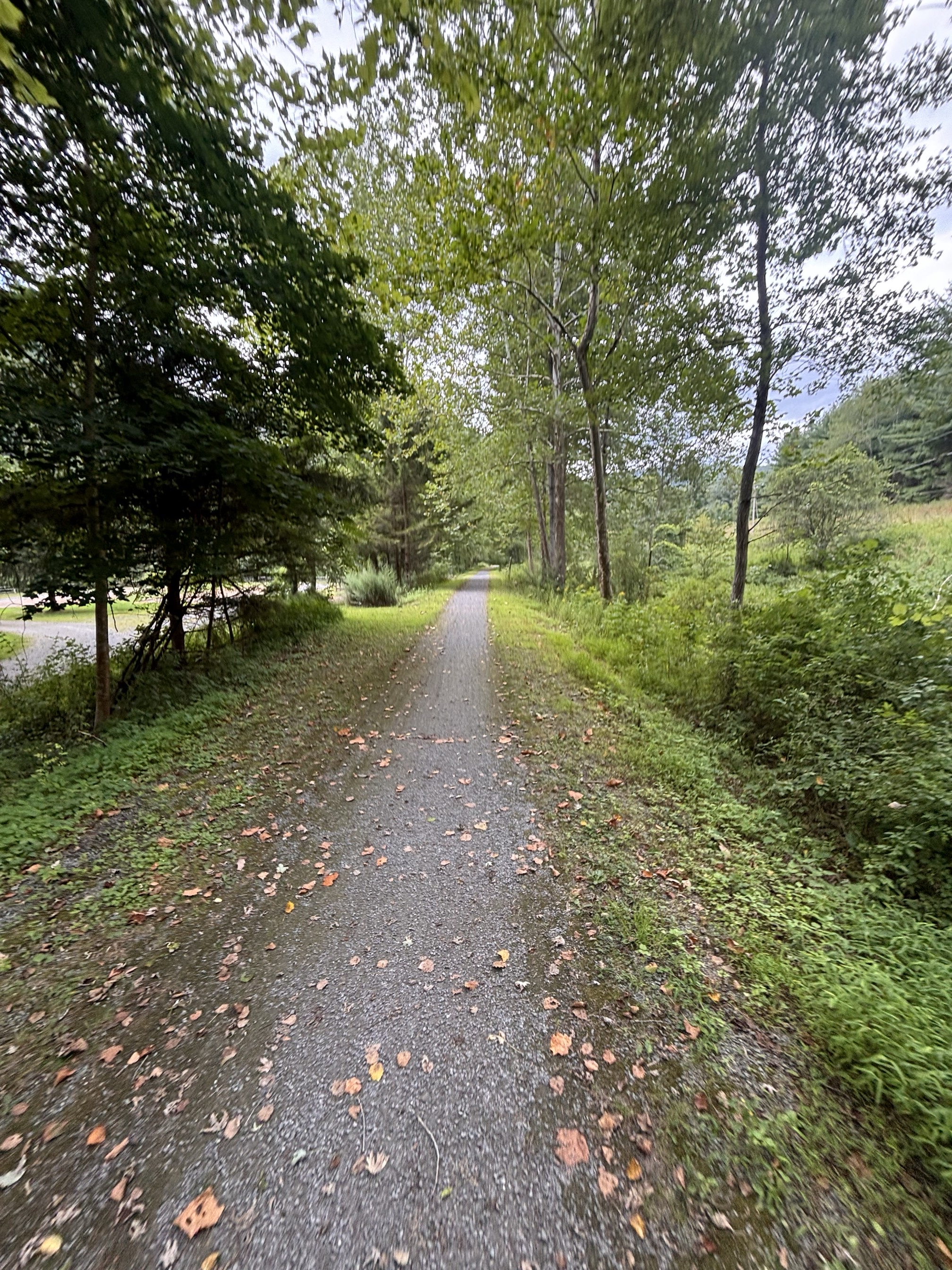 Little Pine Lake Trail