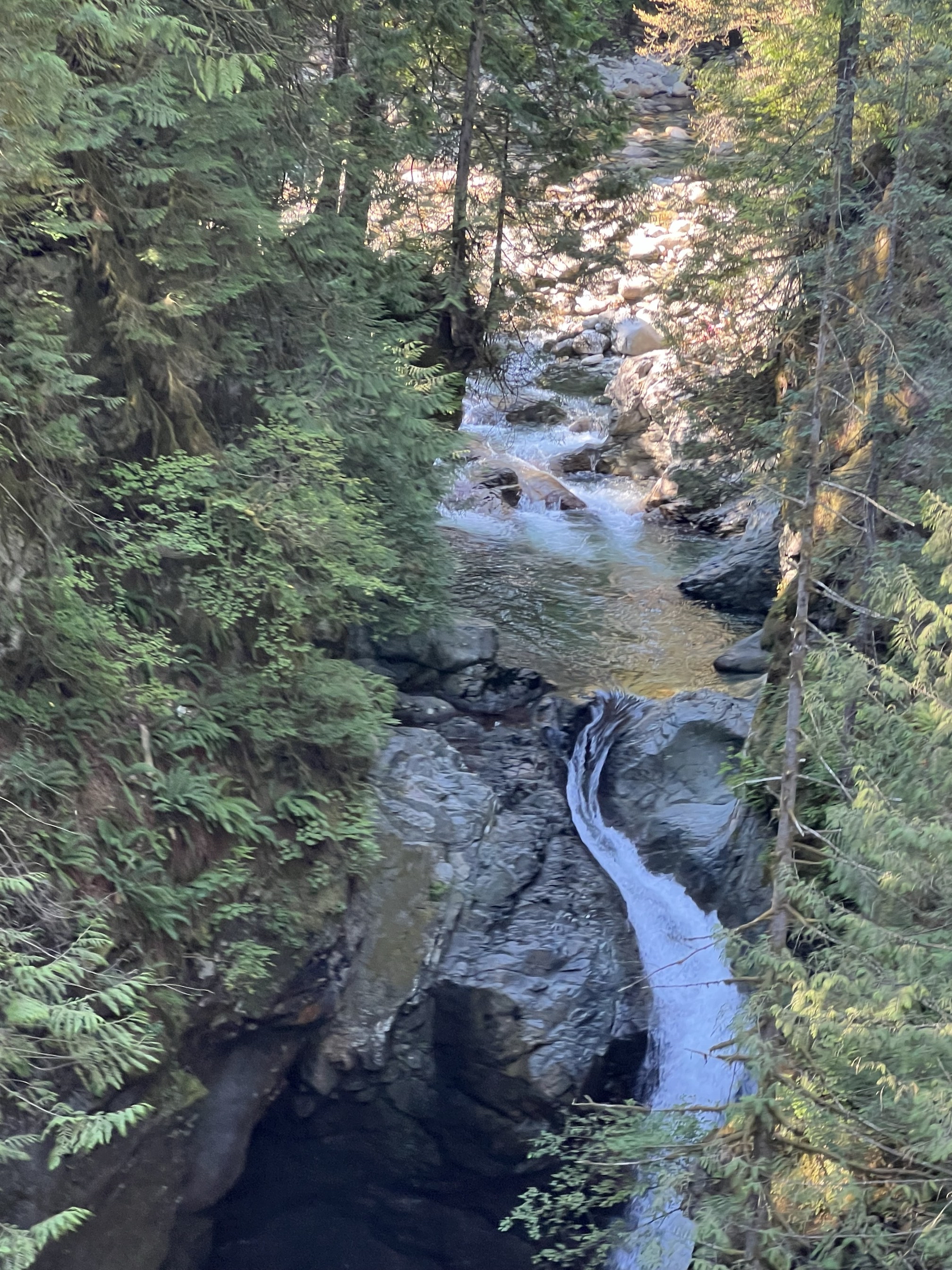 Lynn Canyon Suspension Bridge