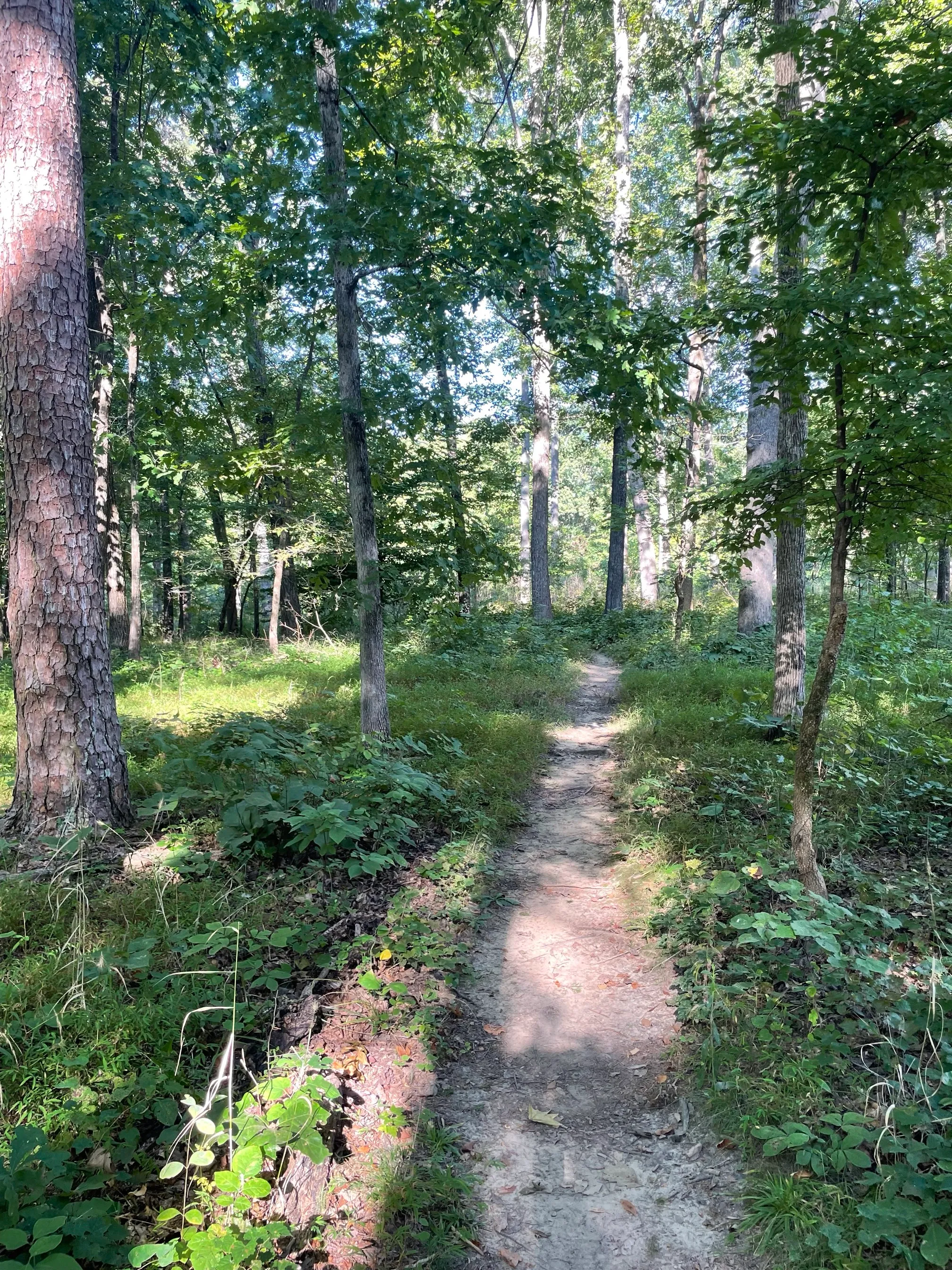 Horton Grove