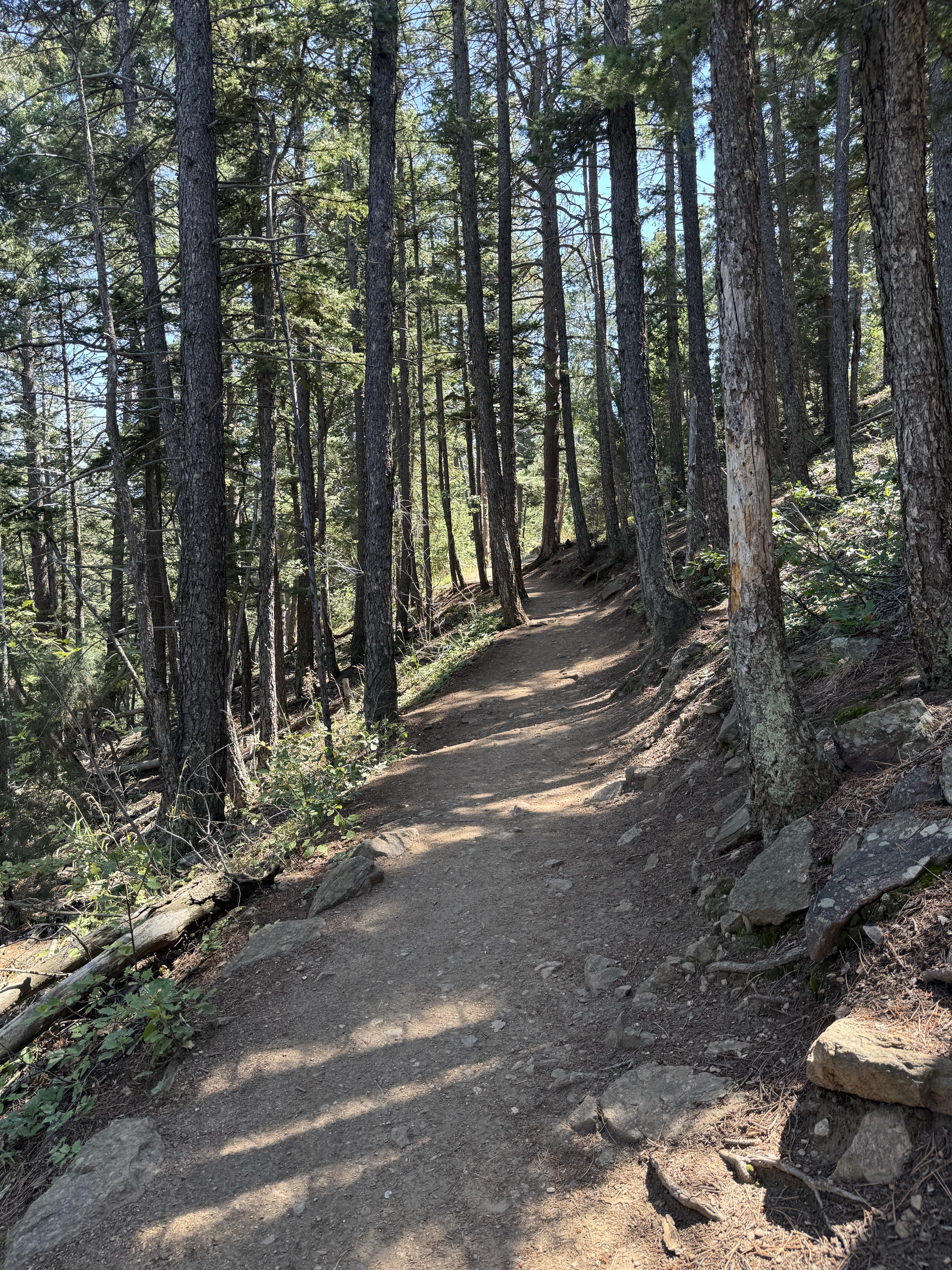 Lookout Mountain via Buffalo Bill Trail