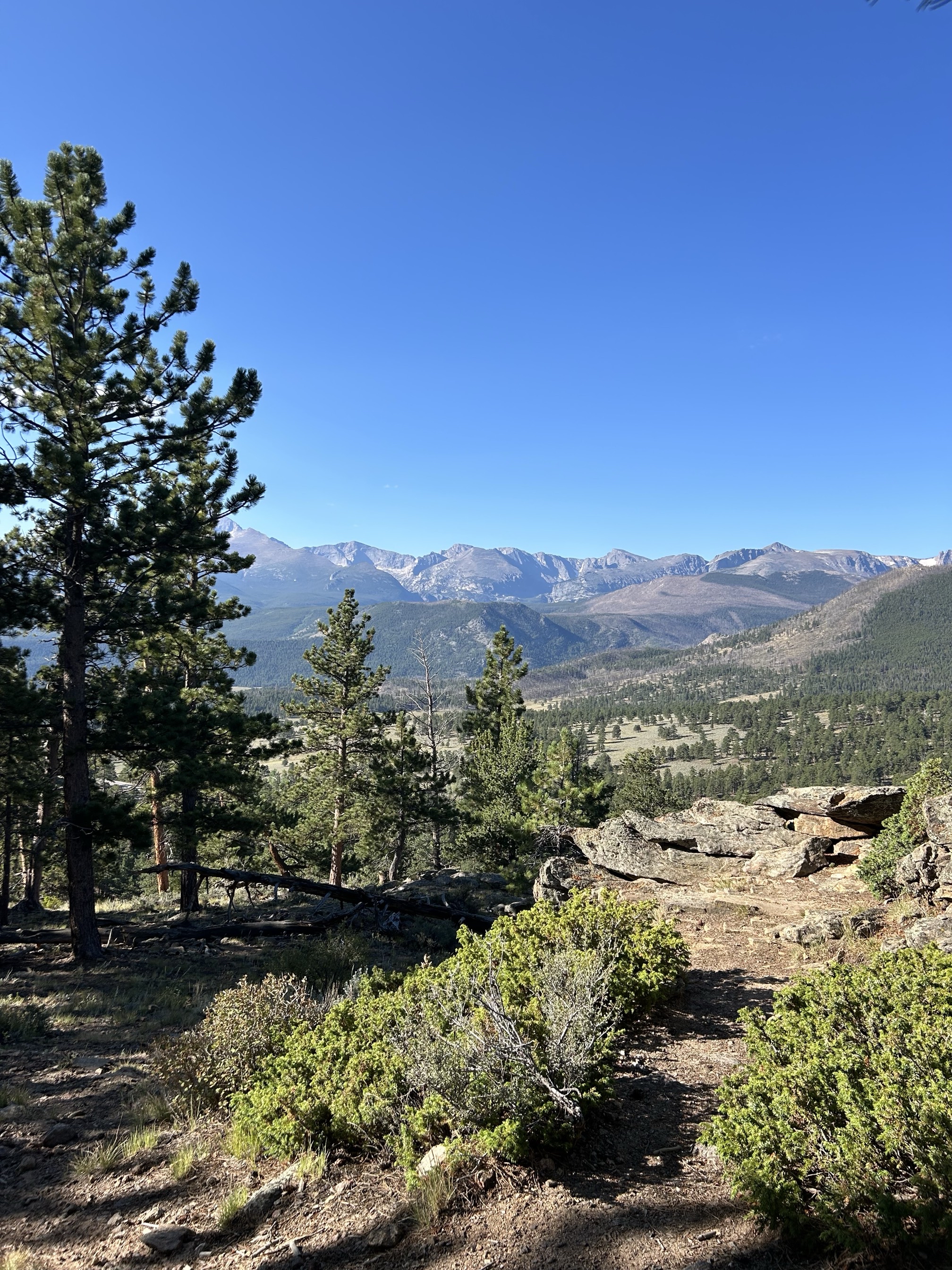 Hike Deer Mountain