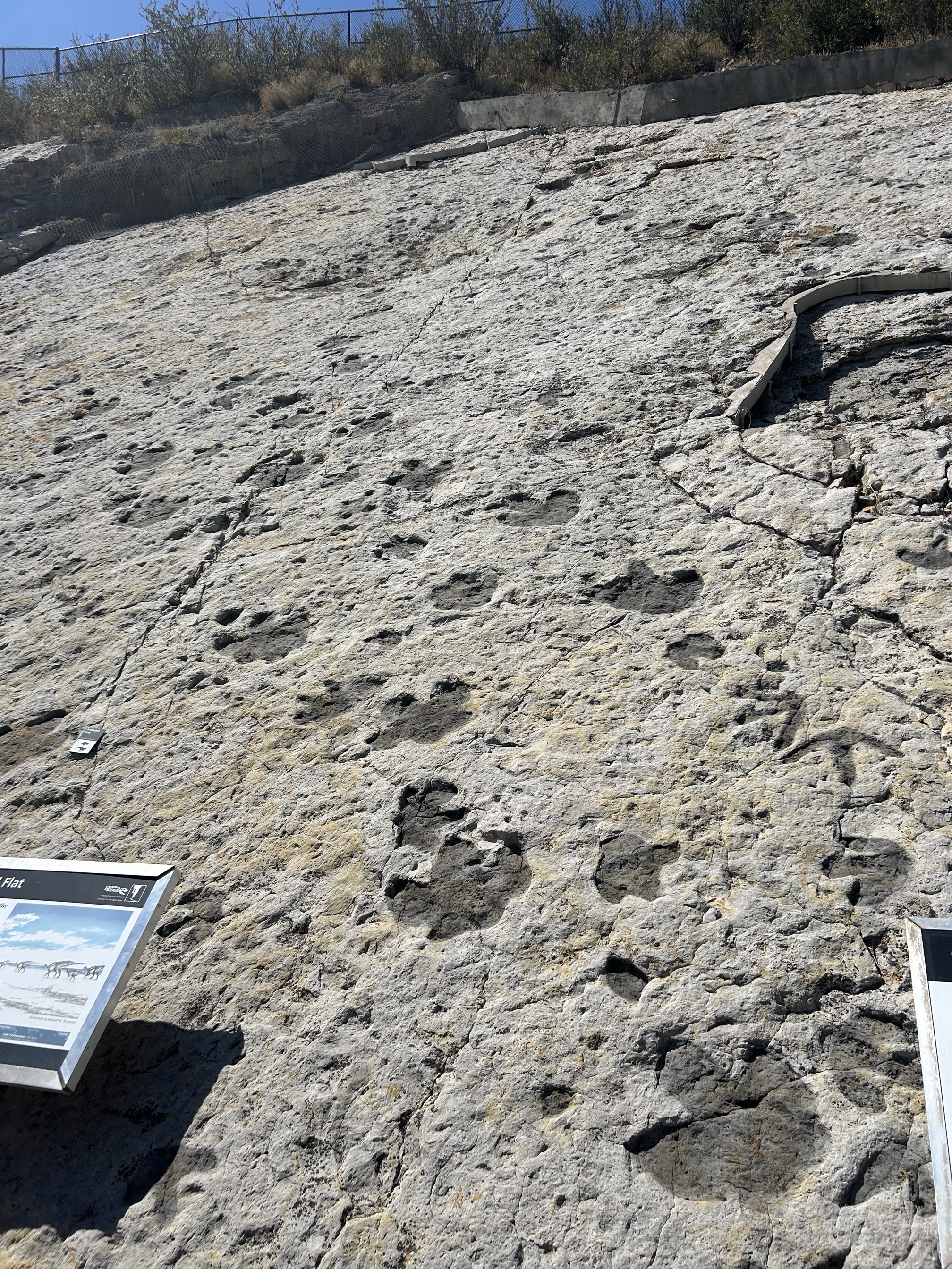 Dinosaur Ridge 
