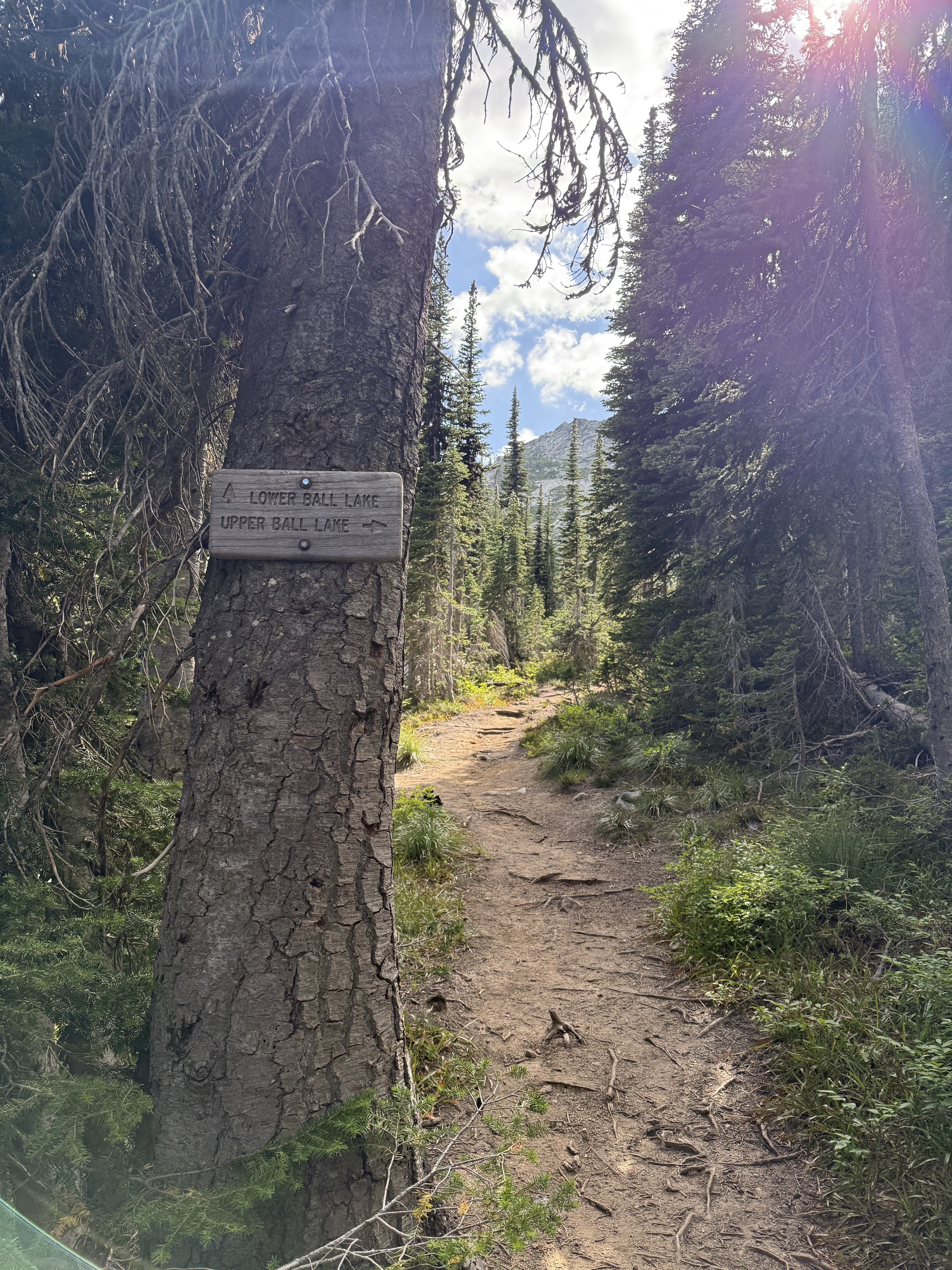 Pyramid and Ball Lakes Trail