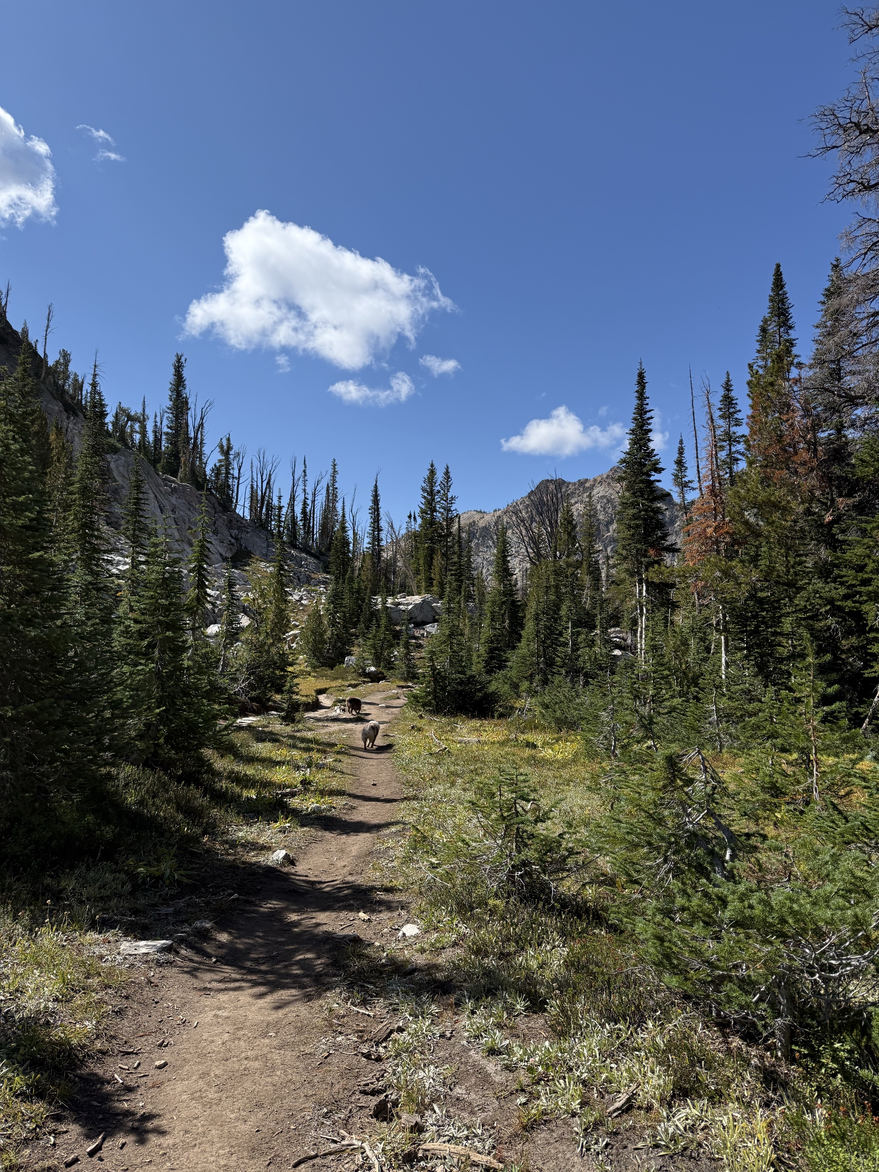 Sawtooth Lake via Iron Creek