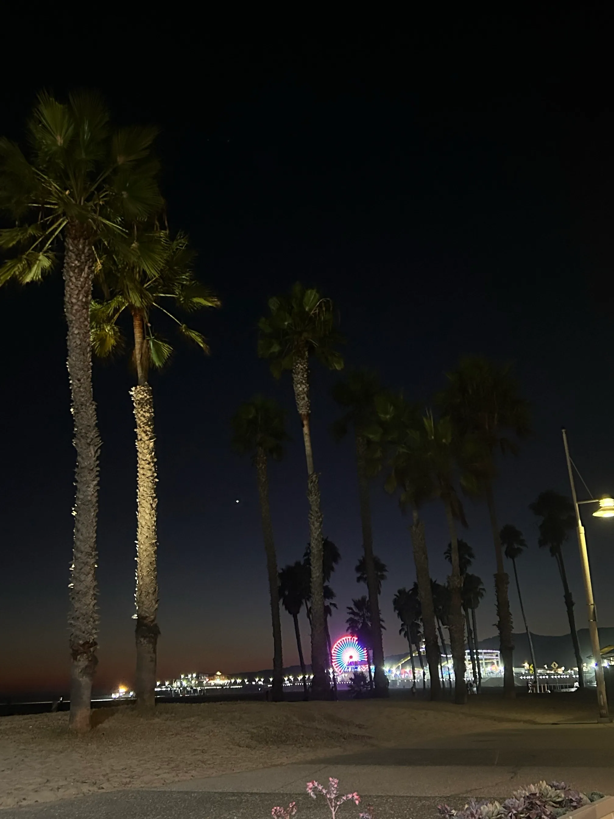 Santa Monica Pier