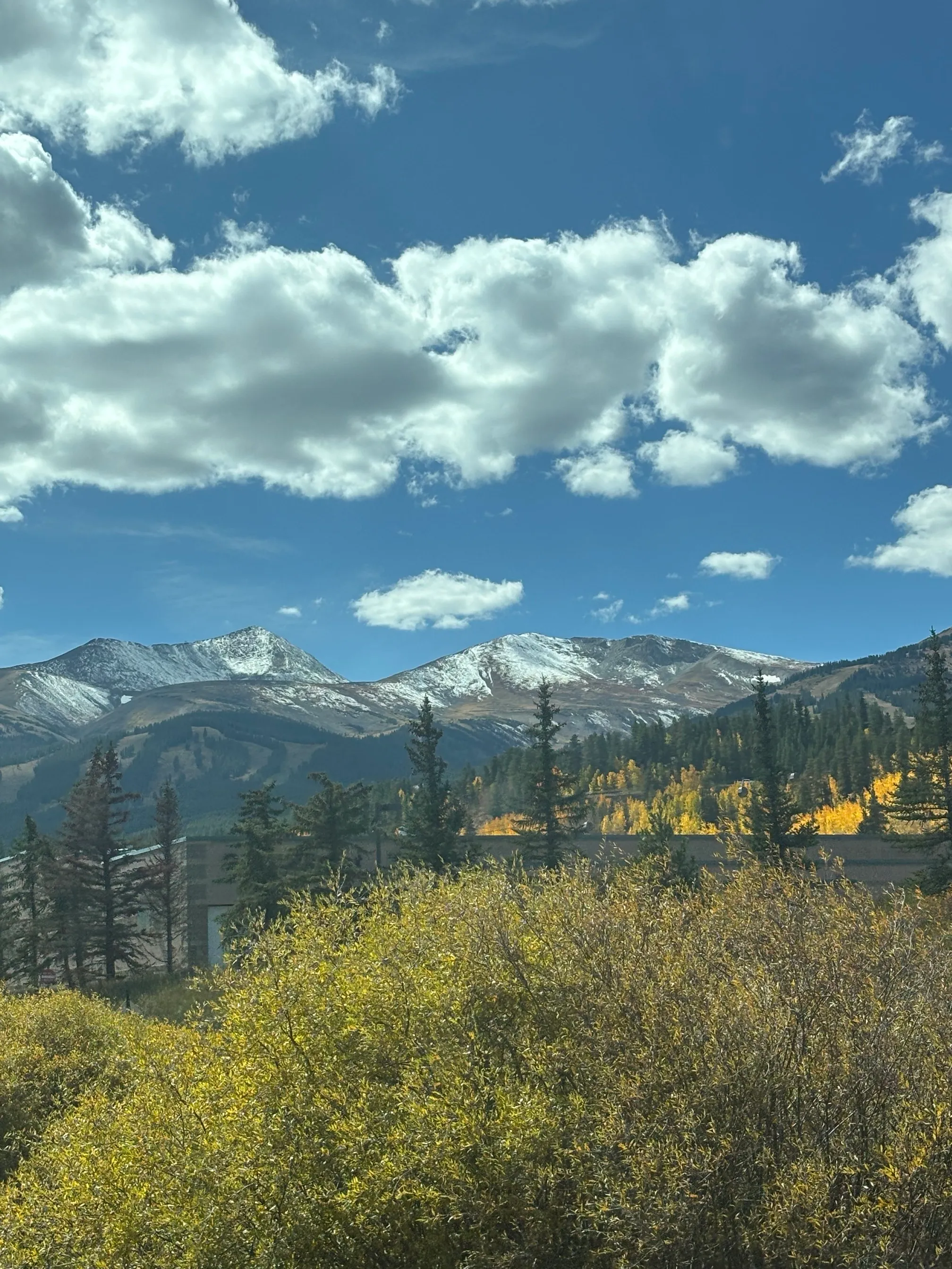 Breckenridge Troll