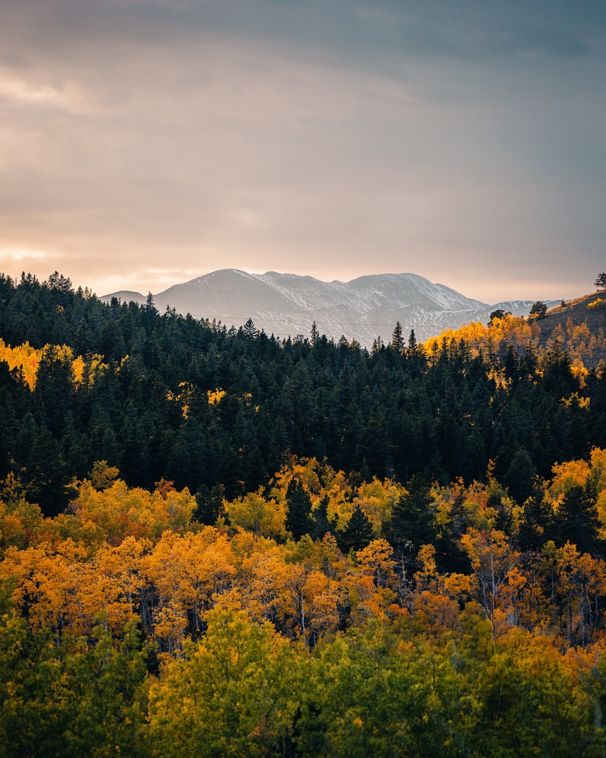 Colorado Trail: Kenosha Pass to FR 130