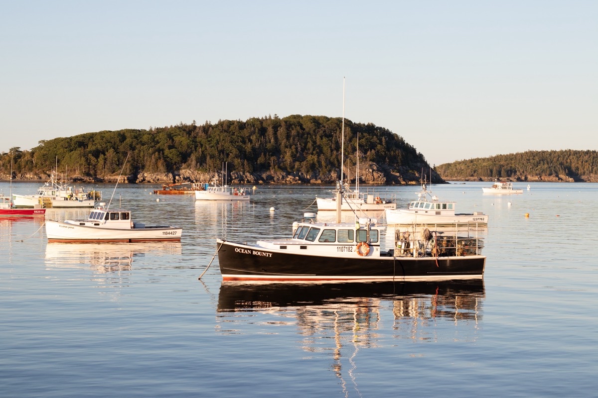 Bar Harbor Shore Path 