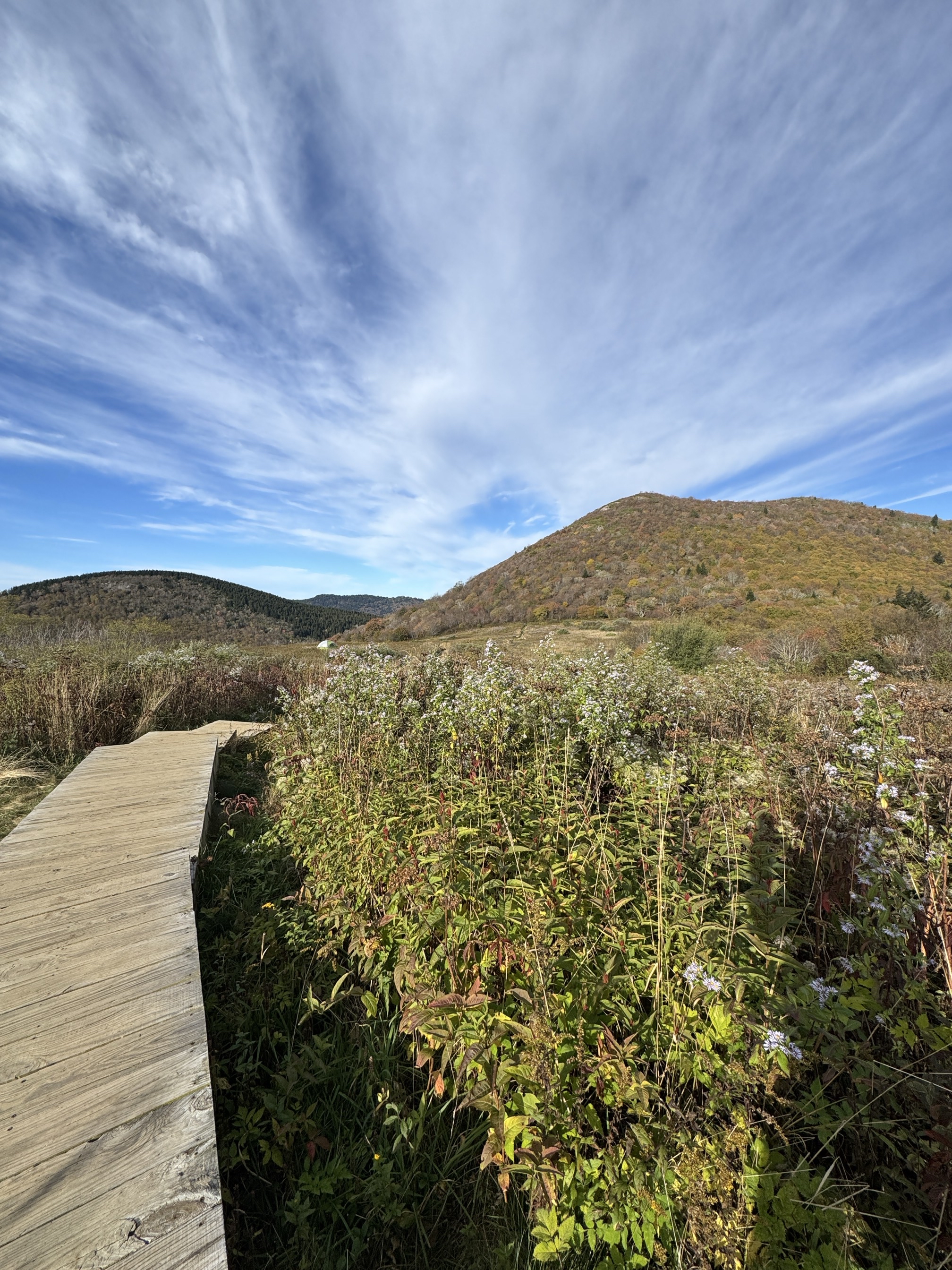 Sam Knob Trail