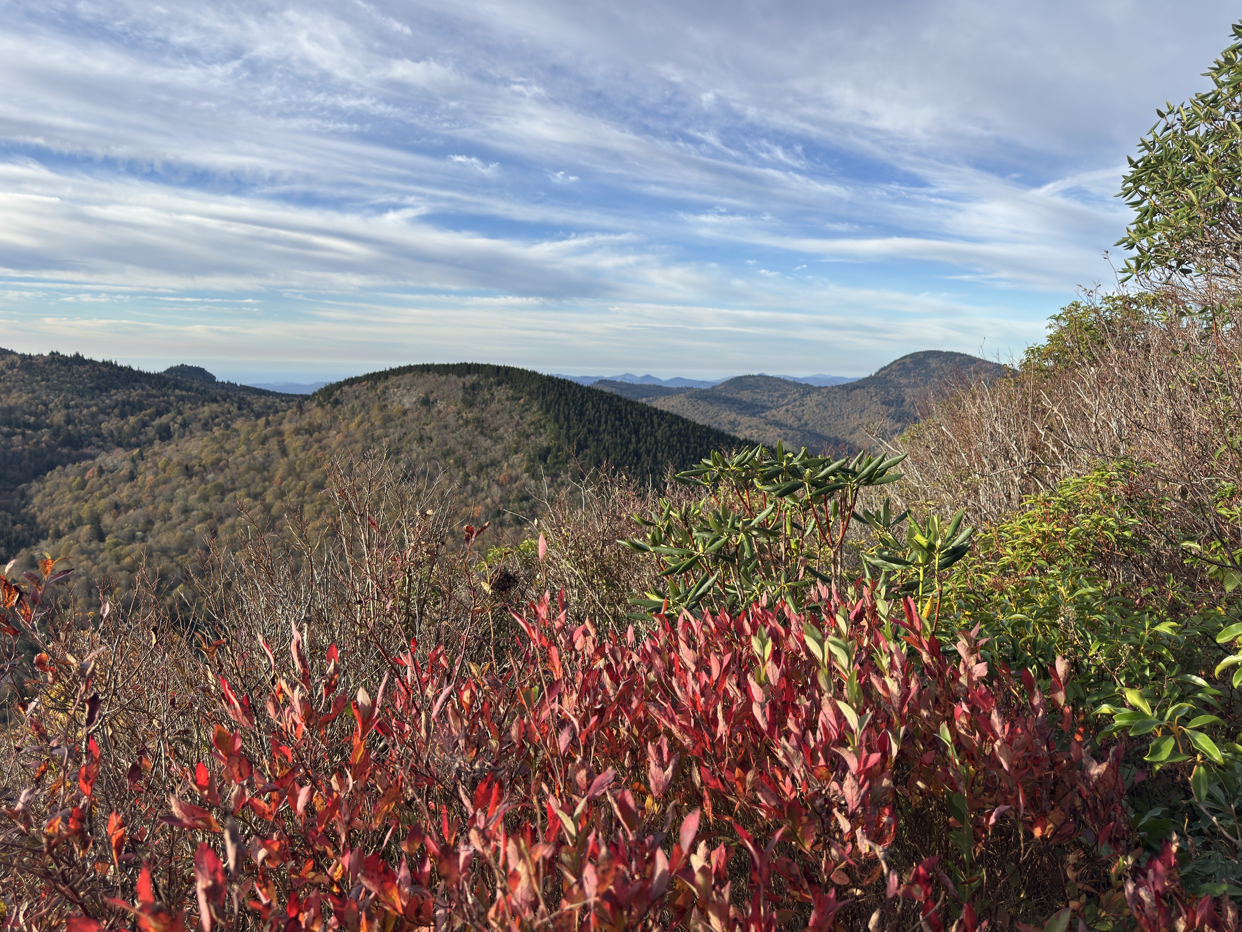 Sam Knob Trail
