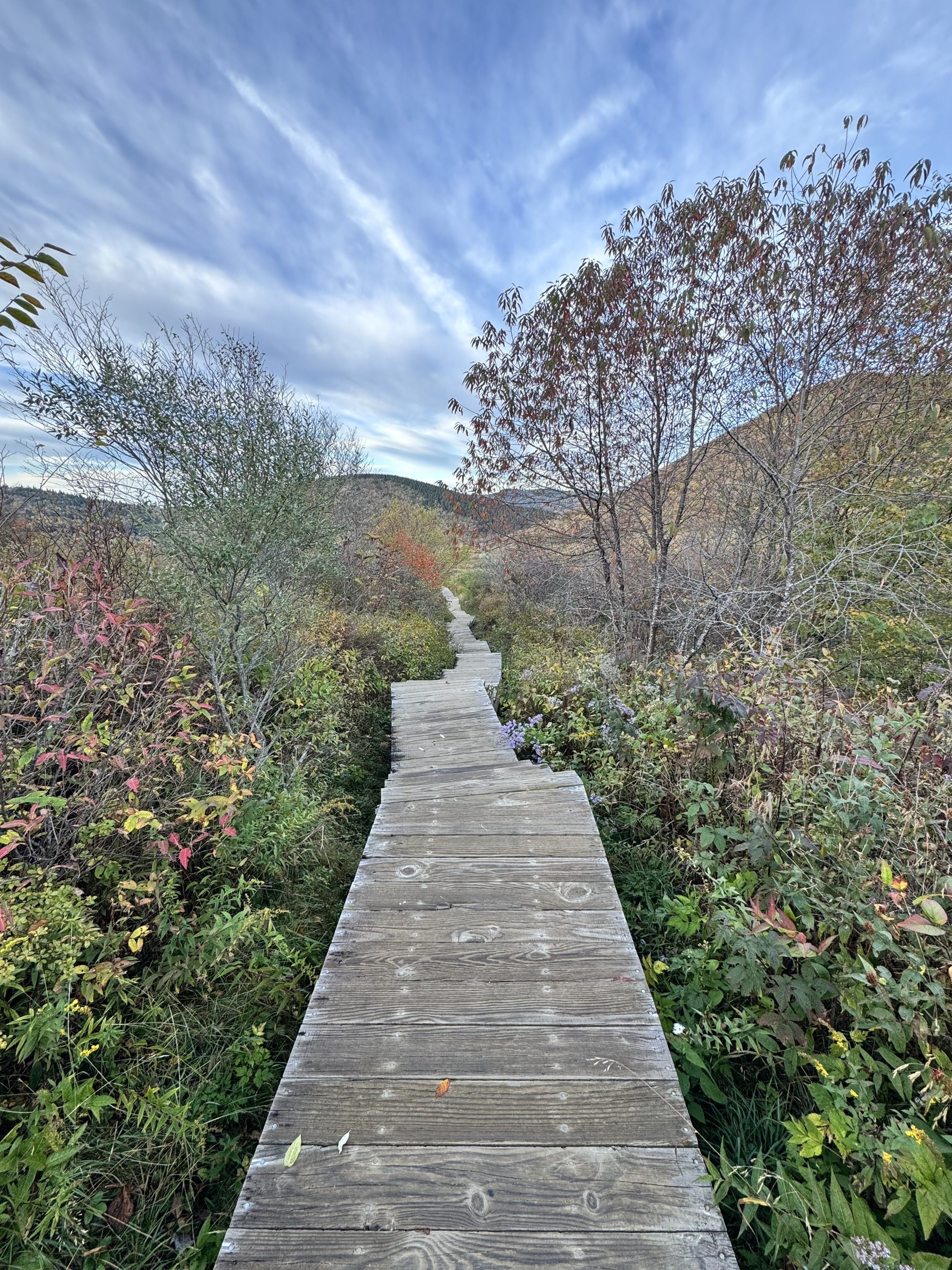 Sam Knob Trail