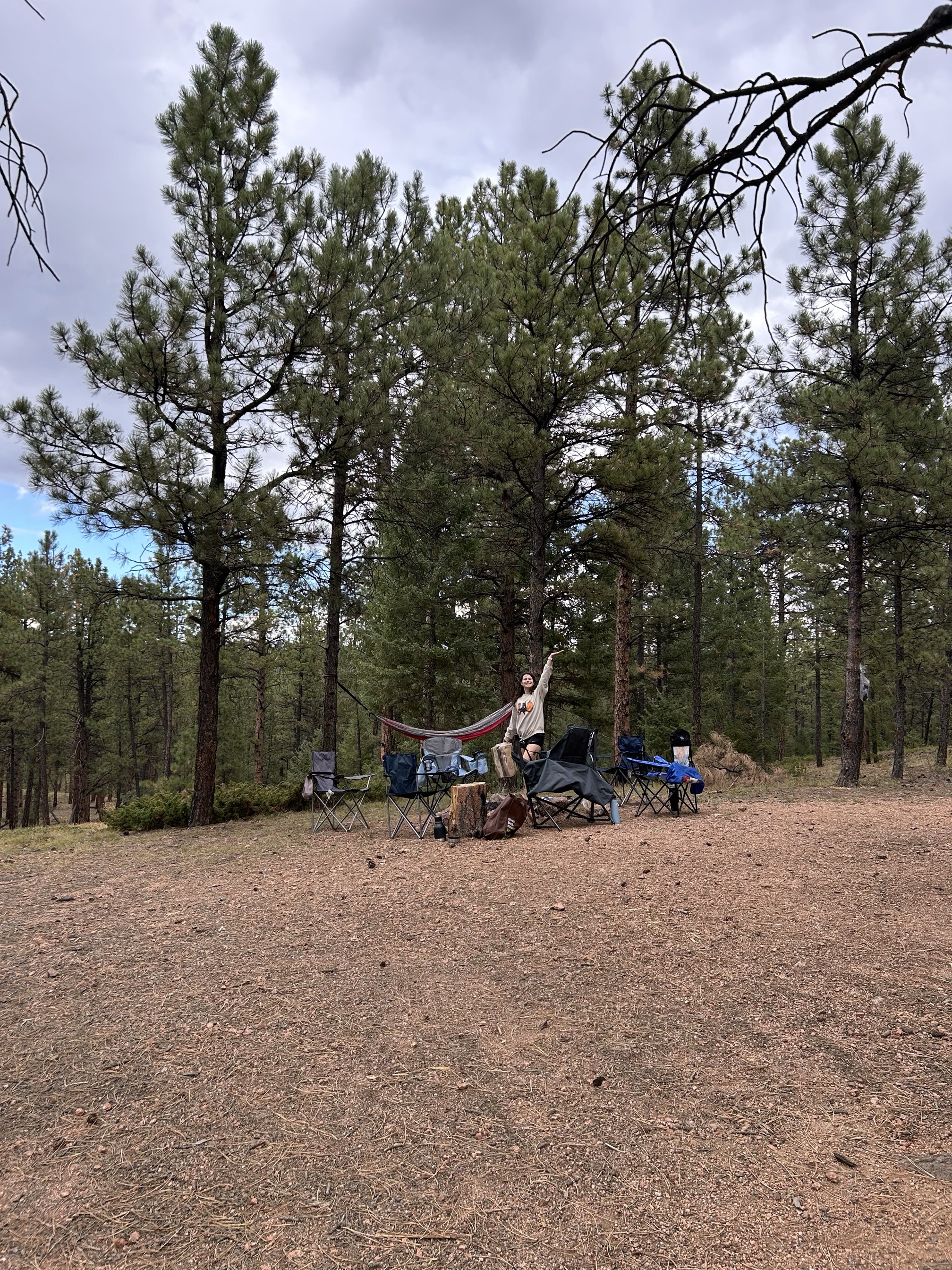 Dispersed Camp at the Buffalo Creek Area in Pike National Forest