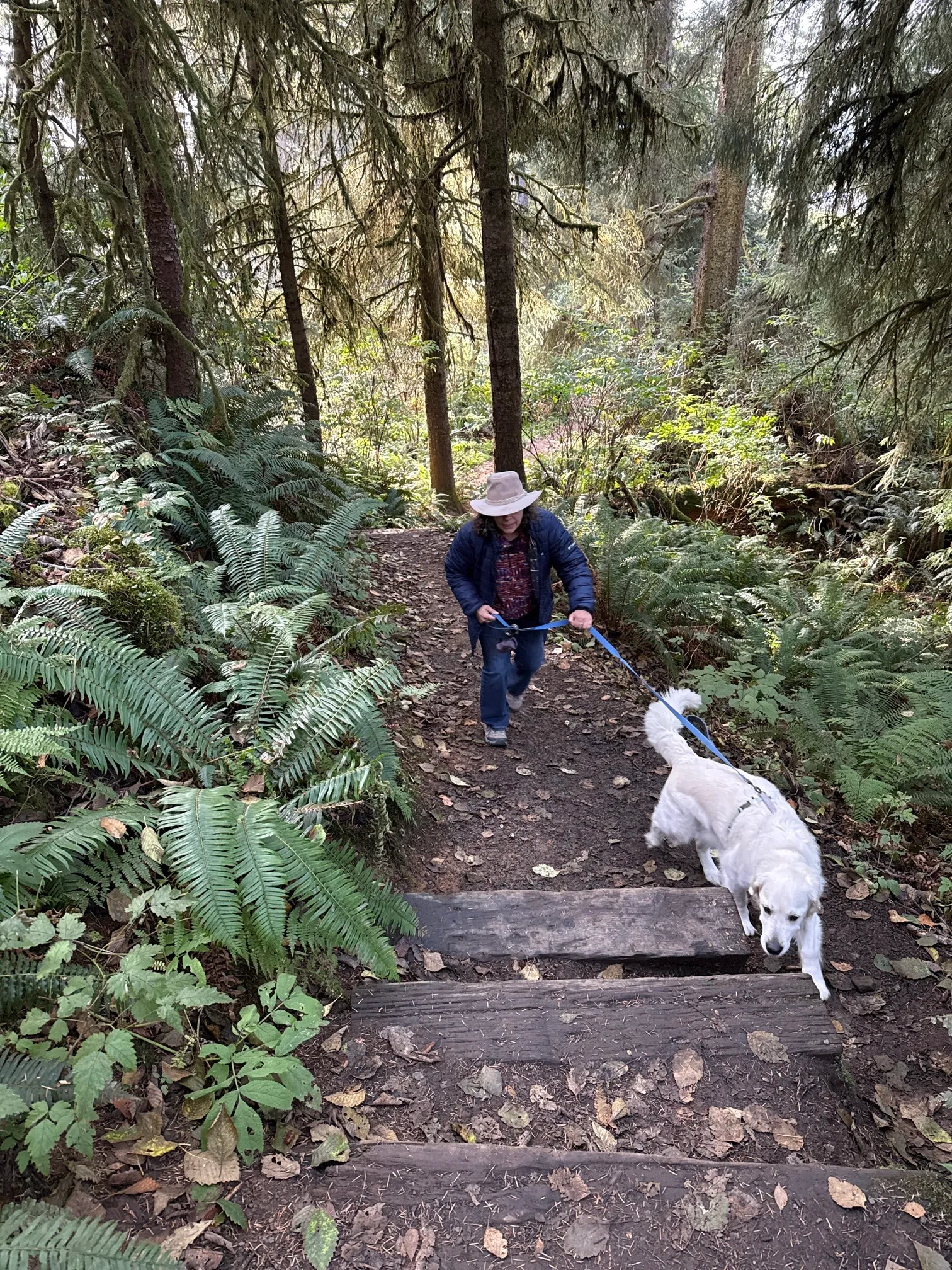 Crescent Beach Trail