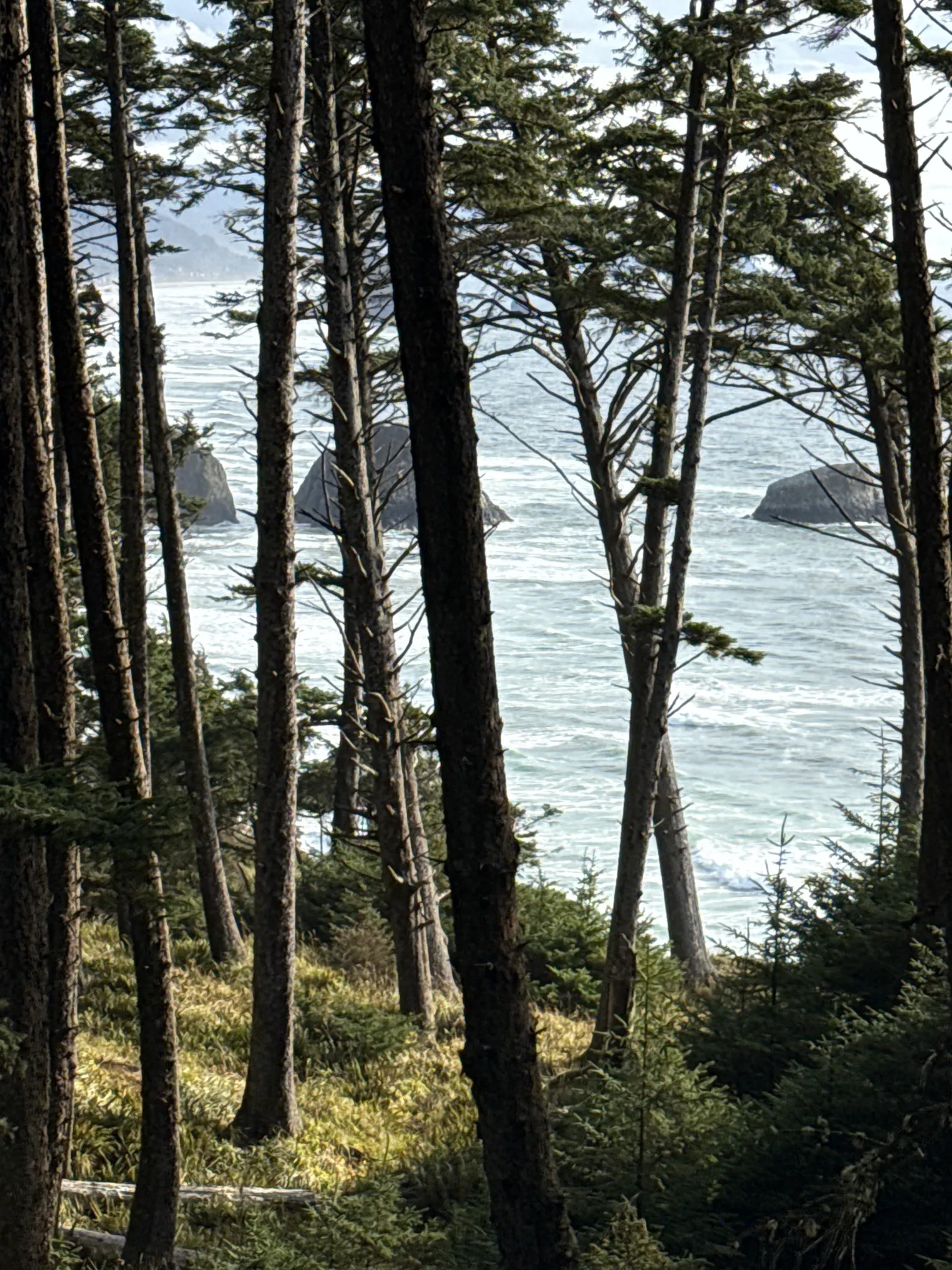 Crescent Beach Trail