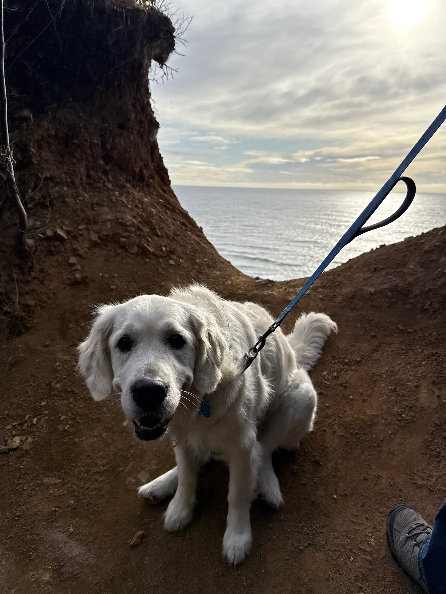 Crescent Beach Trail